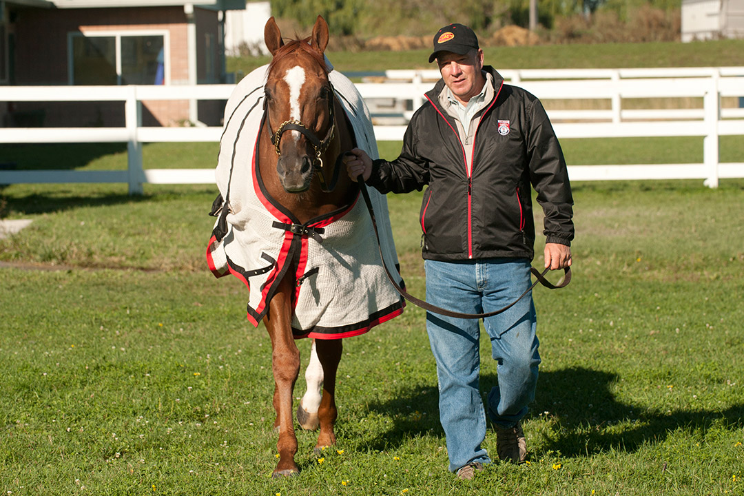 Trainer Charles LoPresti with Wise Dan at Woodbine Racetrack