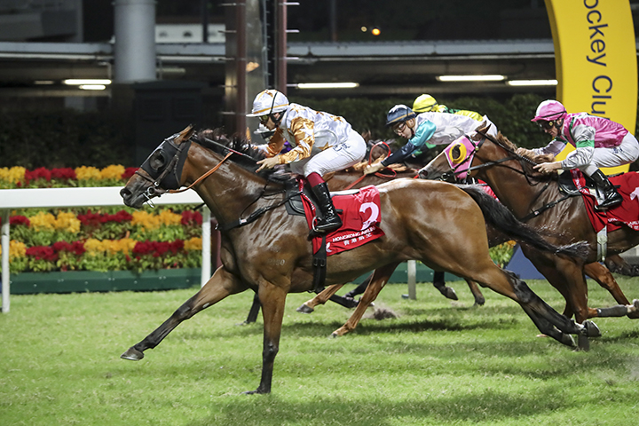 Wishful Thinker wins the 2018 High Island Handicap