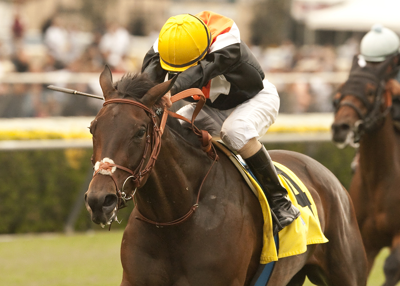 Wishing Gate wins the San Clemente Handicap