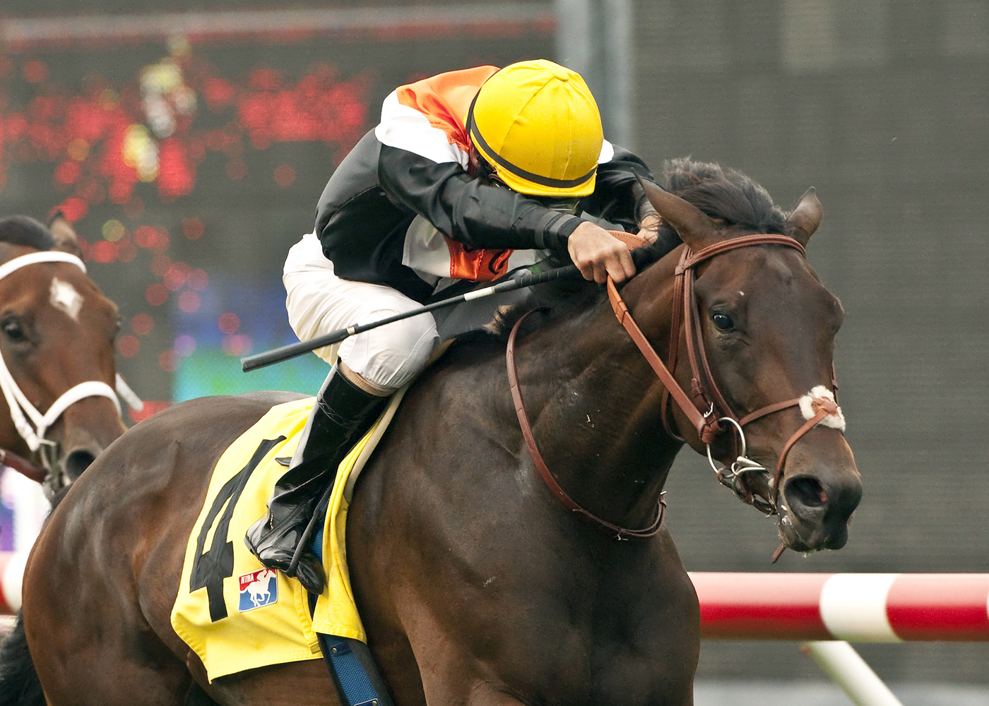 Wishing Gate wins the San Clemente