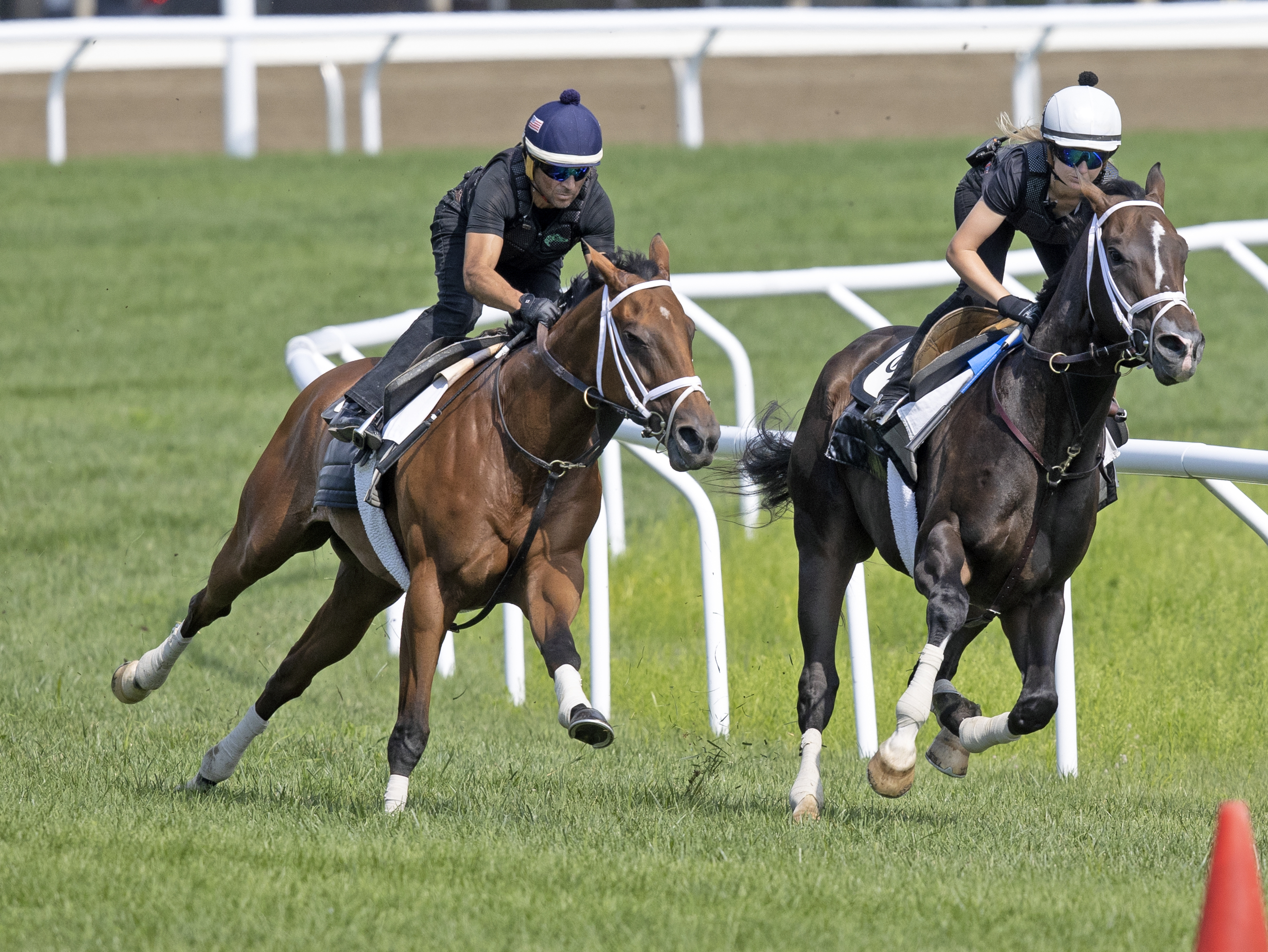 Wit (right) and Scotish Star work at Saratoga on July 22 2022