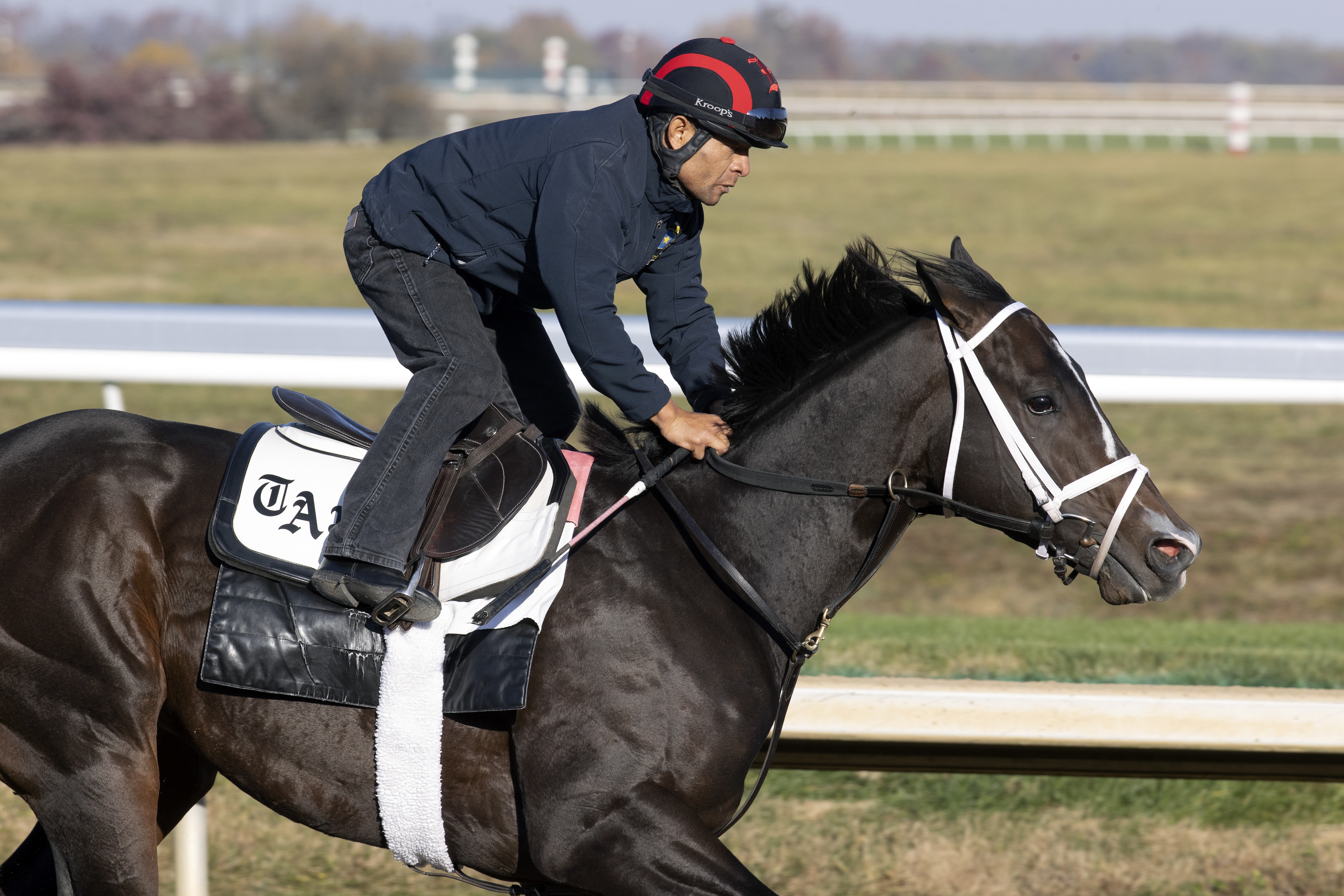 Wit trains at Keeneland Oct 24 2022