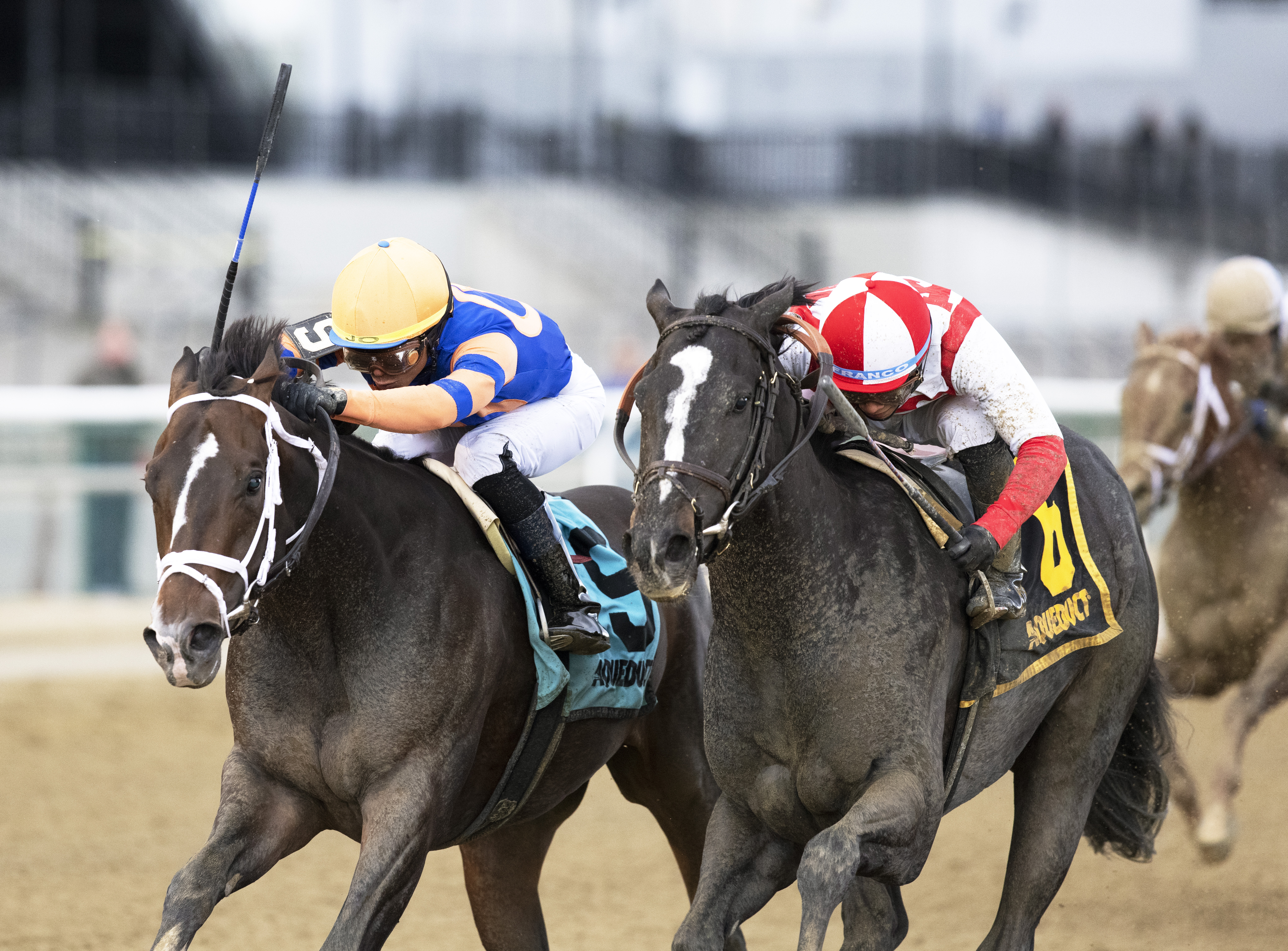Wit (left) wins the Bayshore 4-9-2022