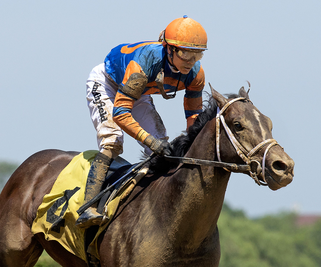 Wit wins a June 5 maiden race at Belmont Park