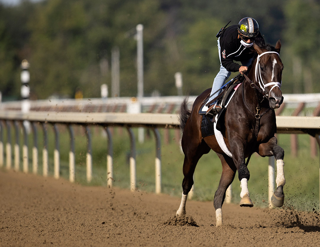 Wit trains at Saratoga Race Course on August 16