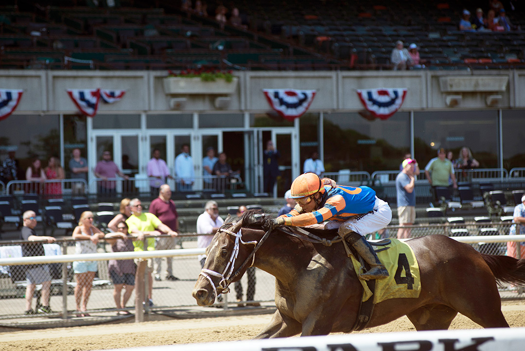 Wit wins a June 5 maiden race at Belmont Park
