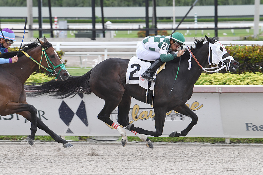 Witch Hunter wins a July 24 optional claiming race at Gulfstream Park