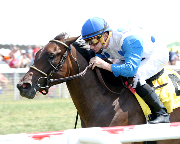 Witez wins a Sept. 8 maiden race at Kentucky Downs