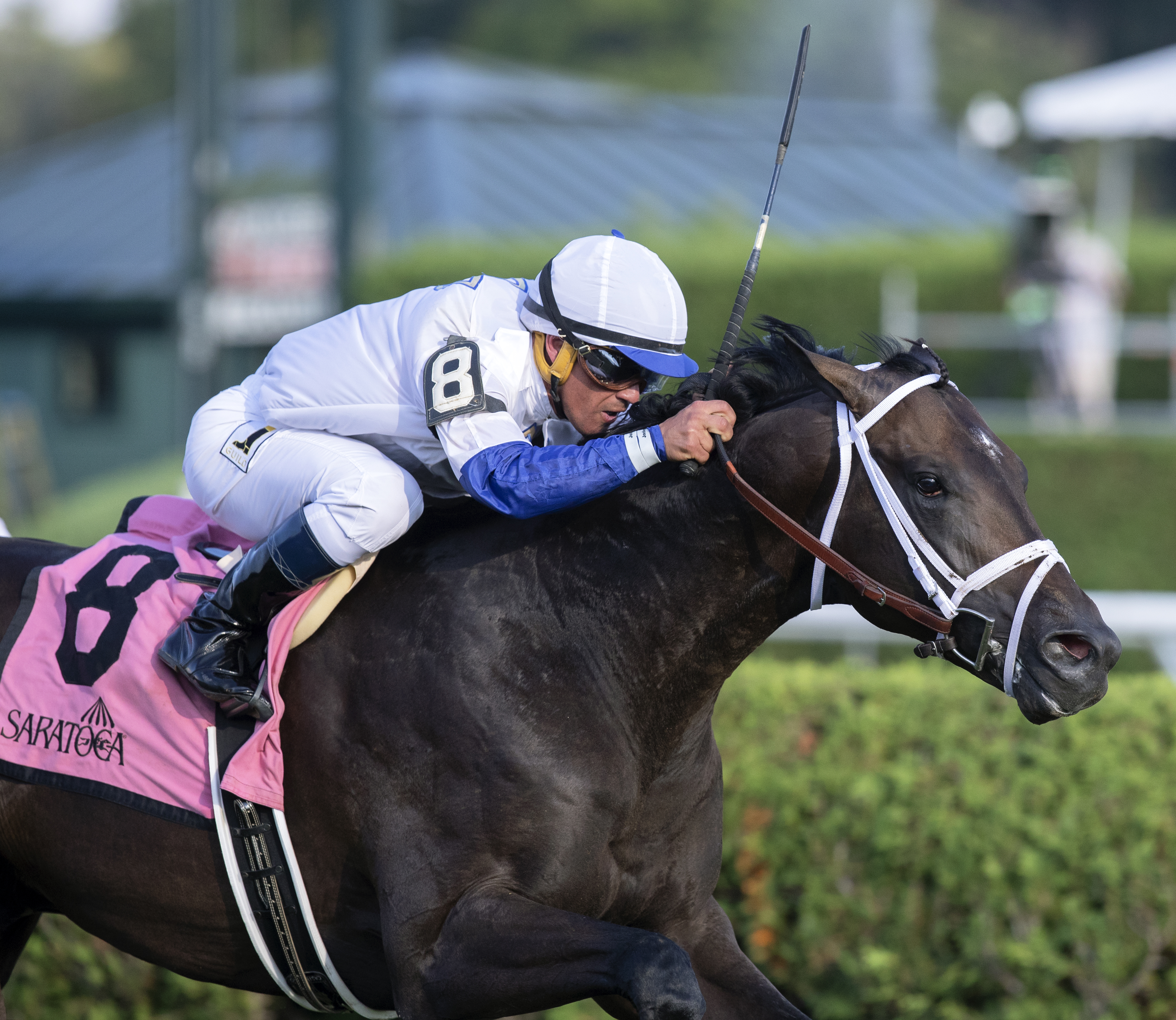 Opry wins the 2018 With Anticipation Stakes