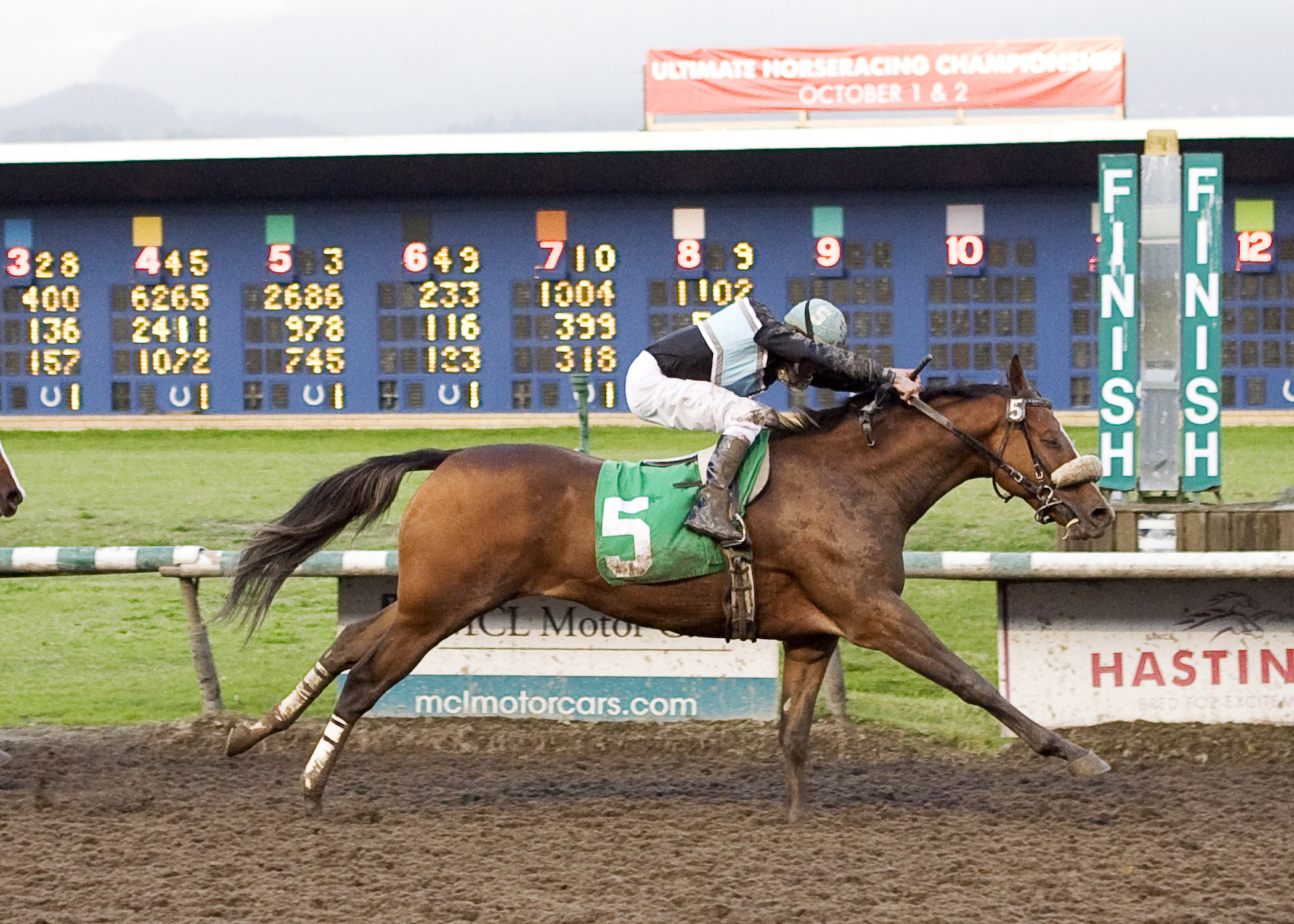 With Council wins the 2011 Ascot Graduation Stakes
