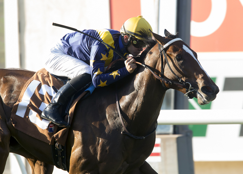 With Honors/Del Mar Juvenile Fillies Turf