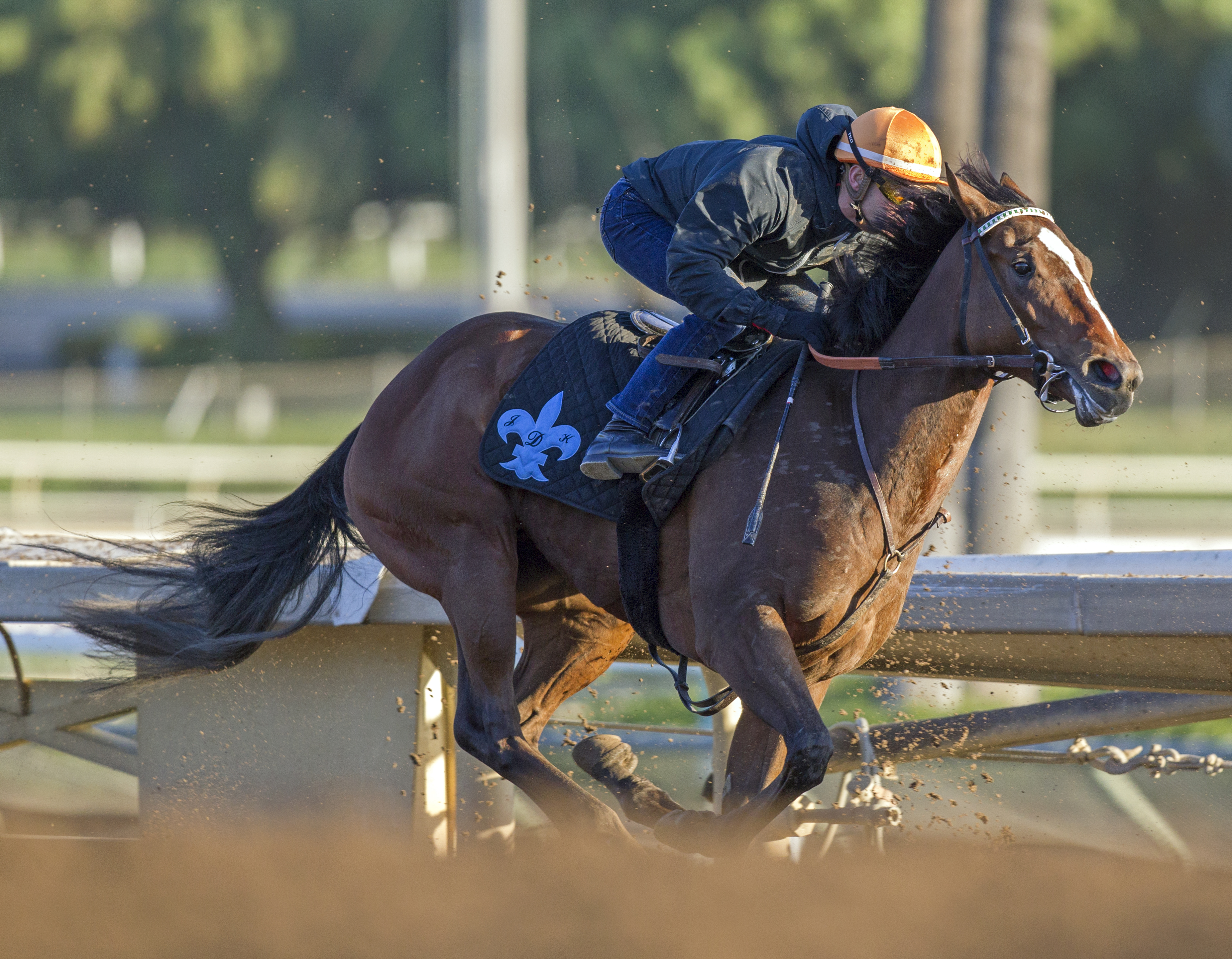 With Honors trains at Santa Anita on Oct. 22