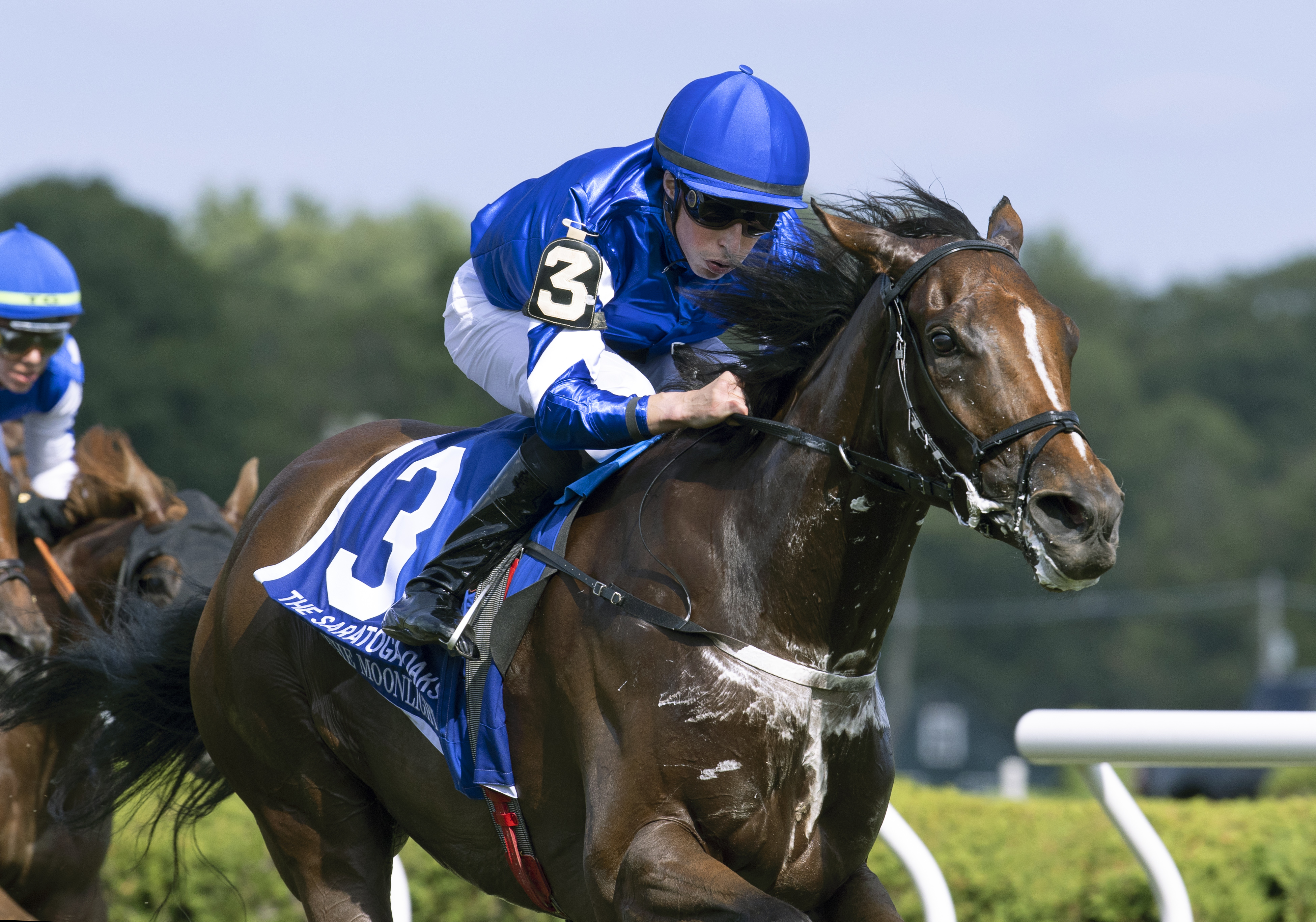 With The Moonlight - Saratoga Oaks 2022