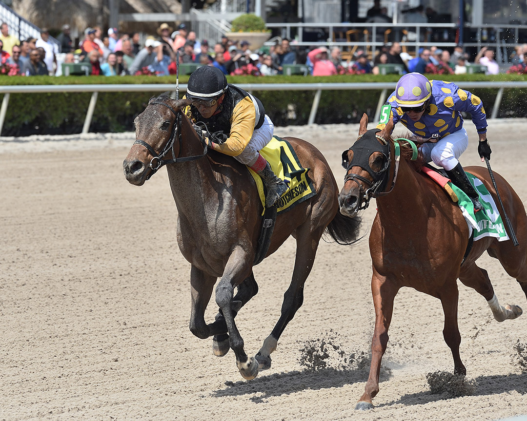 With Verve (left) wins the 2020 Hutcheson Stakes at Gulfstream Park