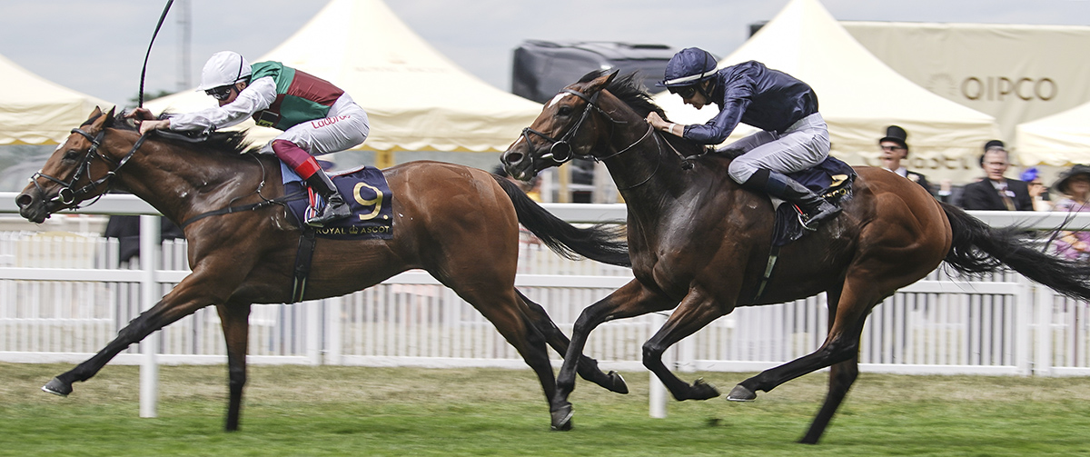 Without Parole wins The St James-s Palace Stakes