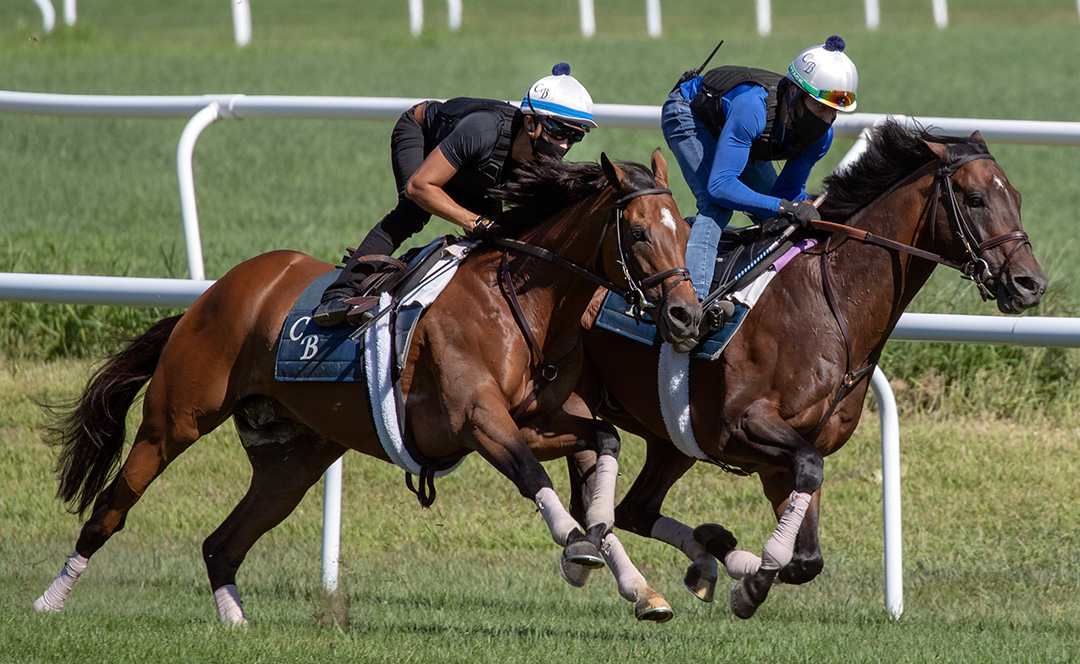 Without Parole (left) and Raging Bull train at Saratoga on July 31