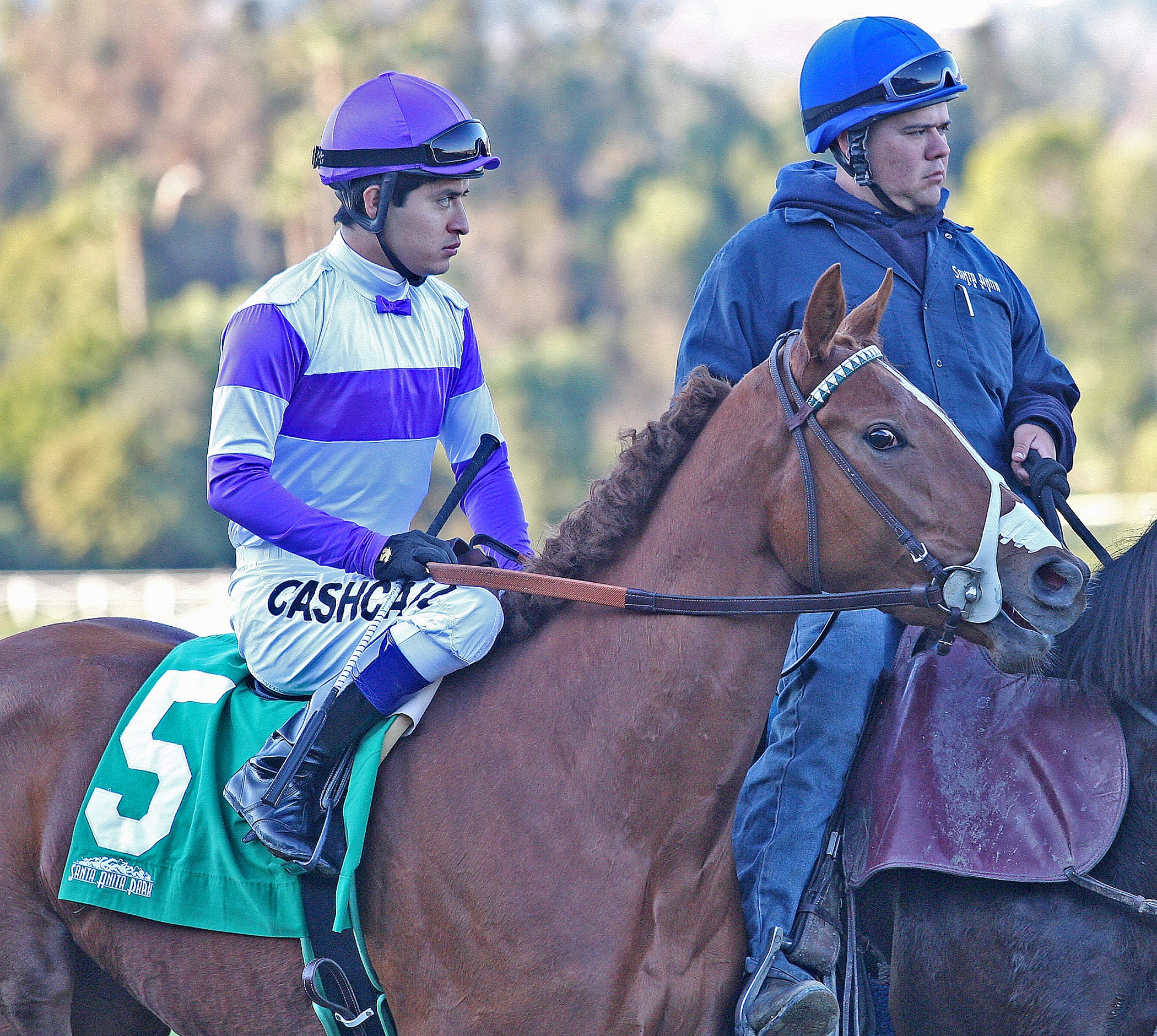Wittgenstein