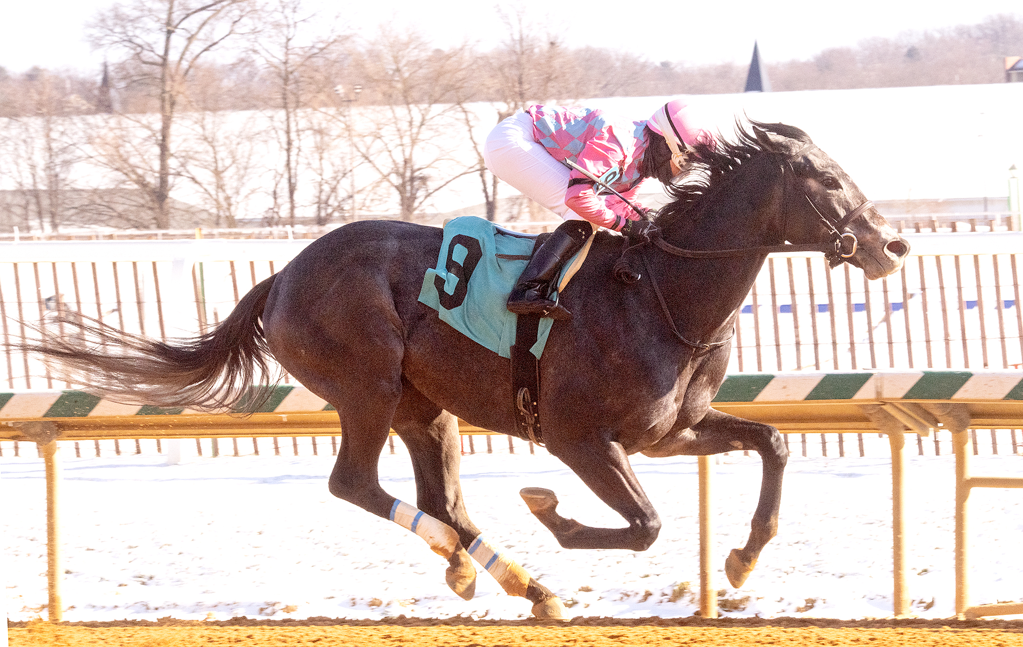 Witty wins The Spectacular Bid 1-29-2022