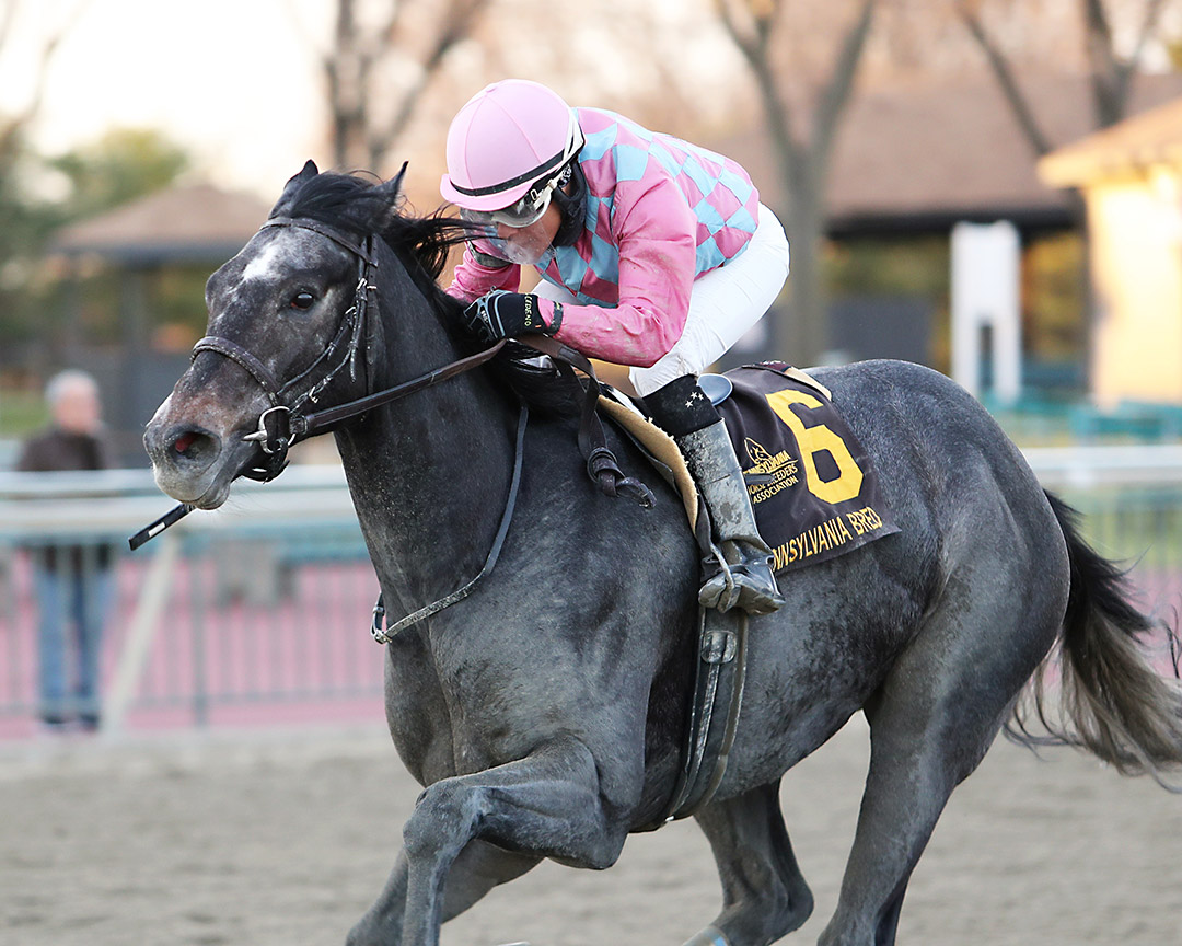 Witty wins the 2021 Pennsylvania Nursery Stakes at Parx Racing