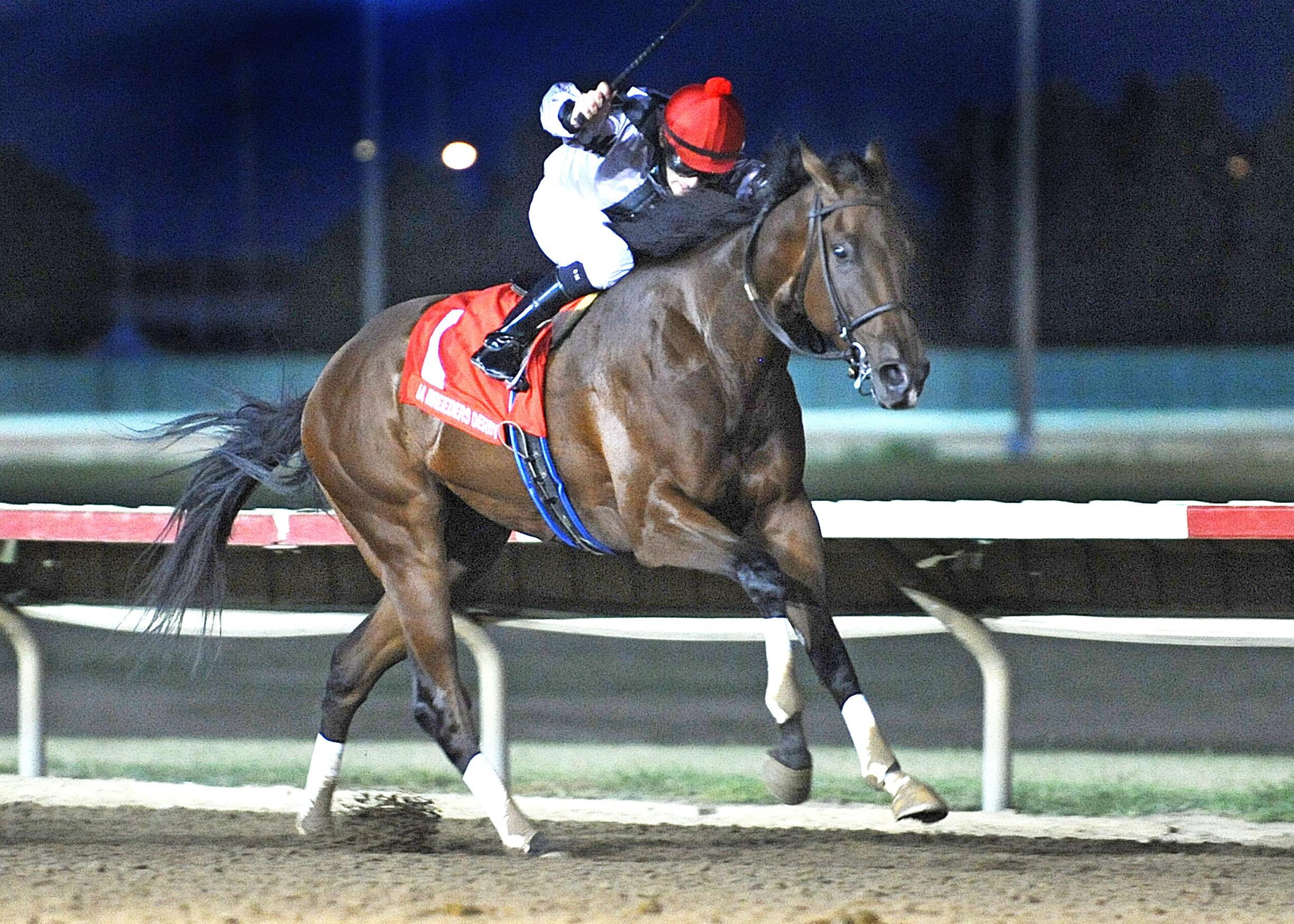 Wolf Pack Jack is Iowa-bred Horse of the Year