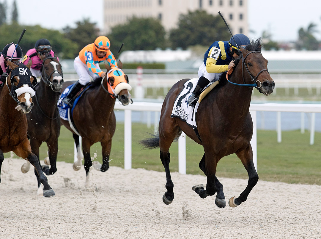 Wolfie's Dynaghost wins a handicap at Gulfstream on Jan. 29