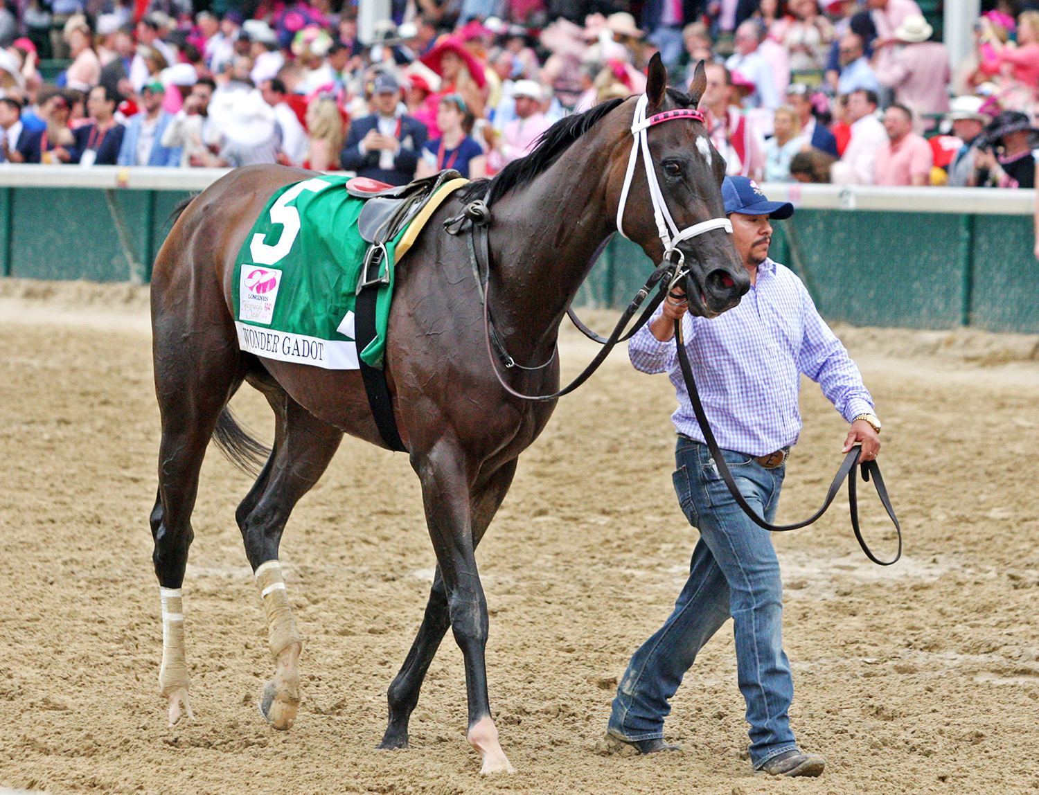 Wonder Gadot at the Kentucky Oaks