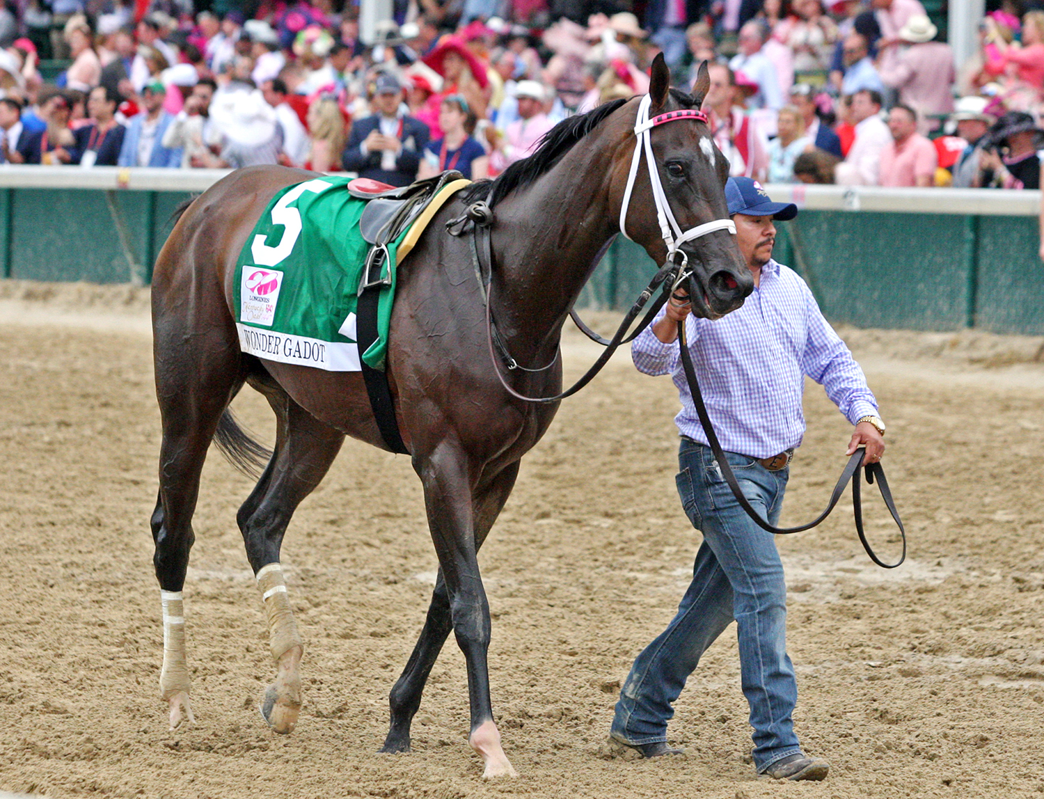 Wonder Gadot after finishing second in the Kentucky Oaks