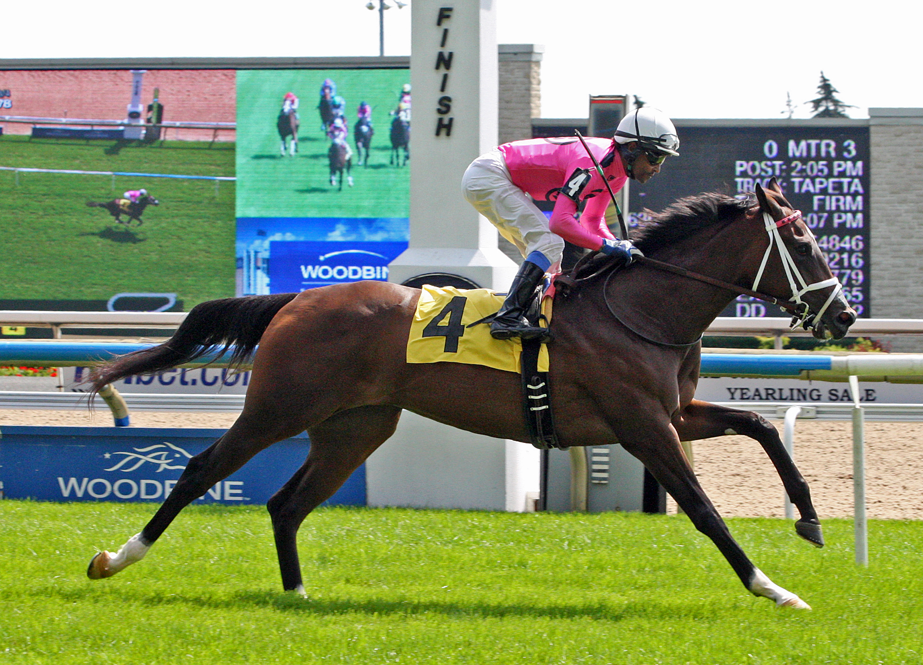 Wonder Gadot wins an Aug. 26, 2017 allowance race