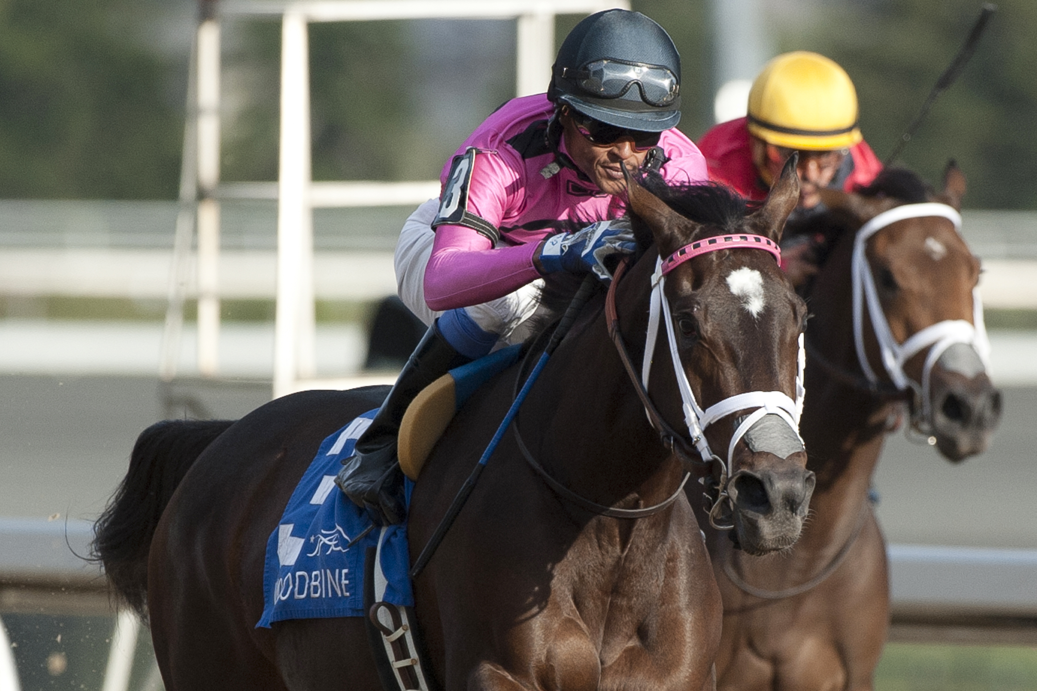 Wonder Gadot wins the 2017 Mazarine Stakes
