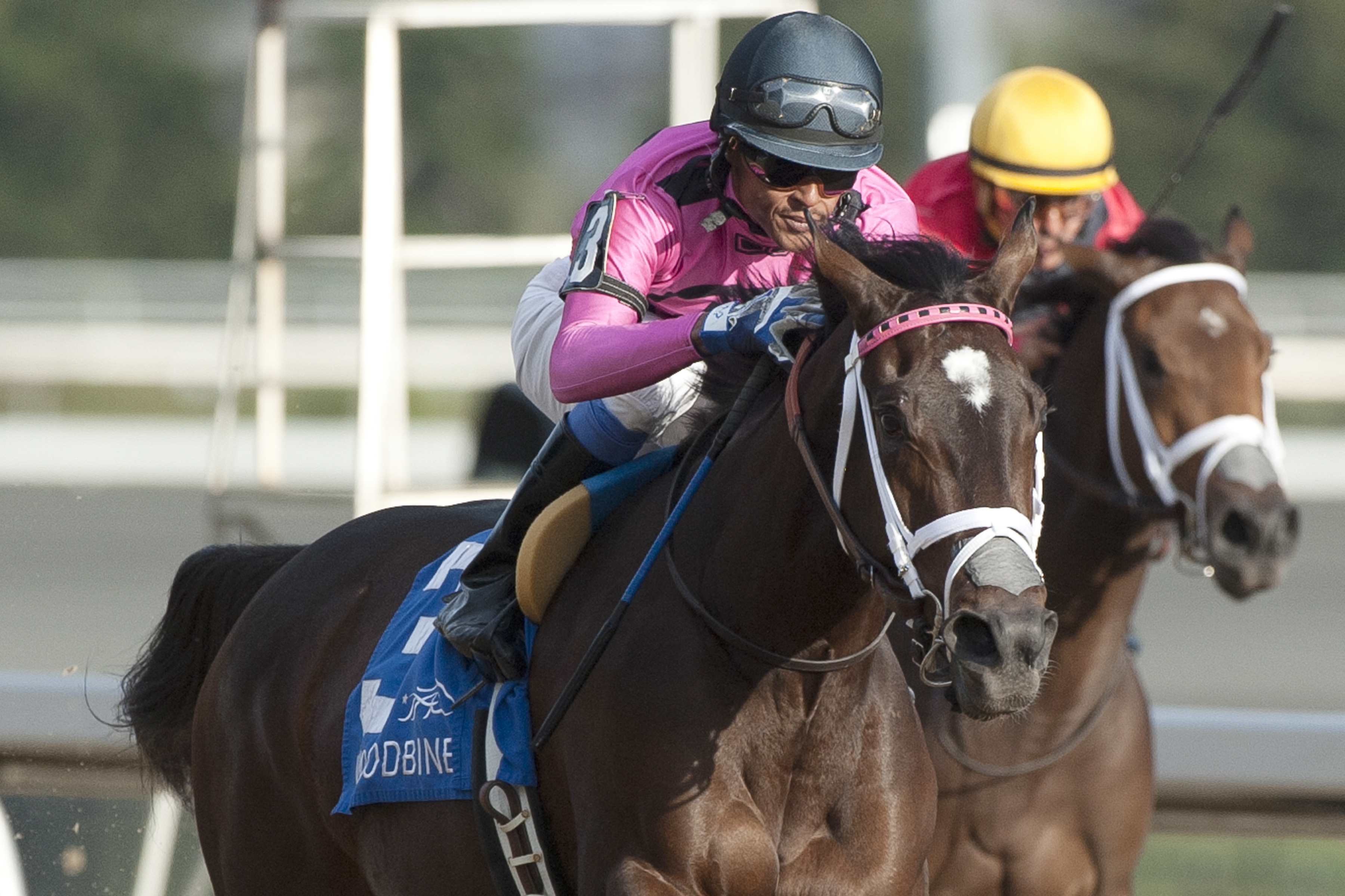 Wonder Gadot wins the 2017 Mazarine Stakes