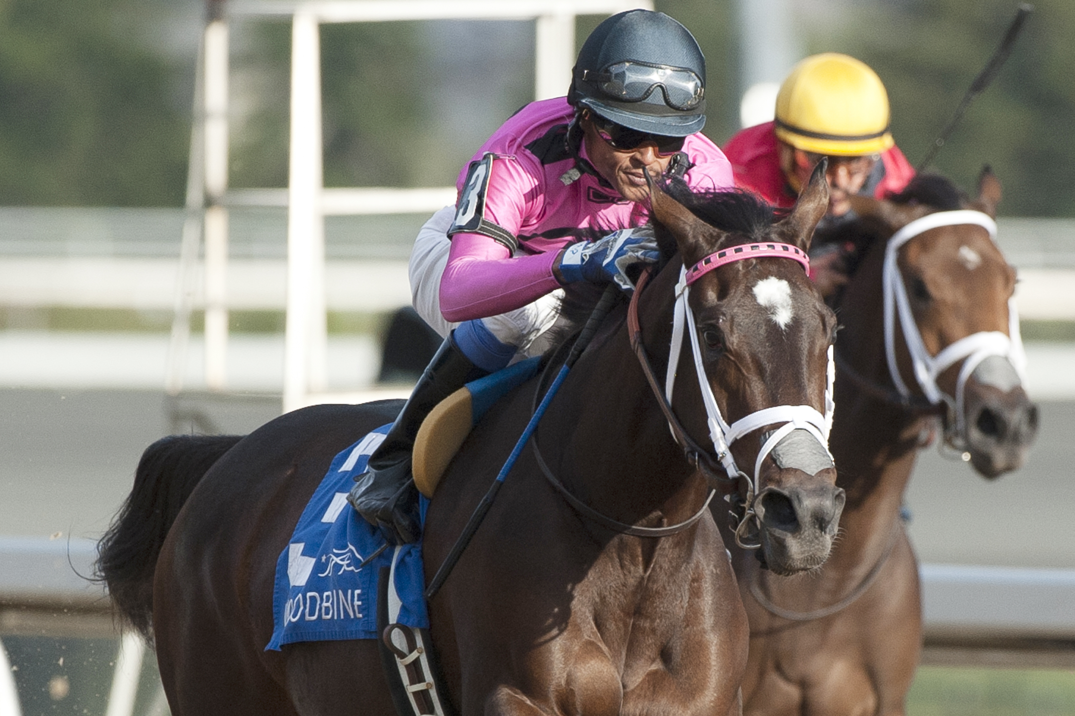 Wonder Gadot wins the 2017 Mazarine Stakes