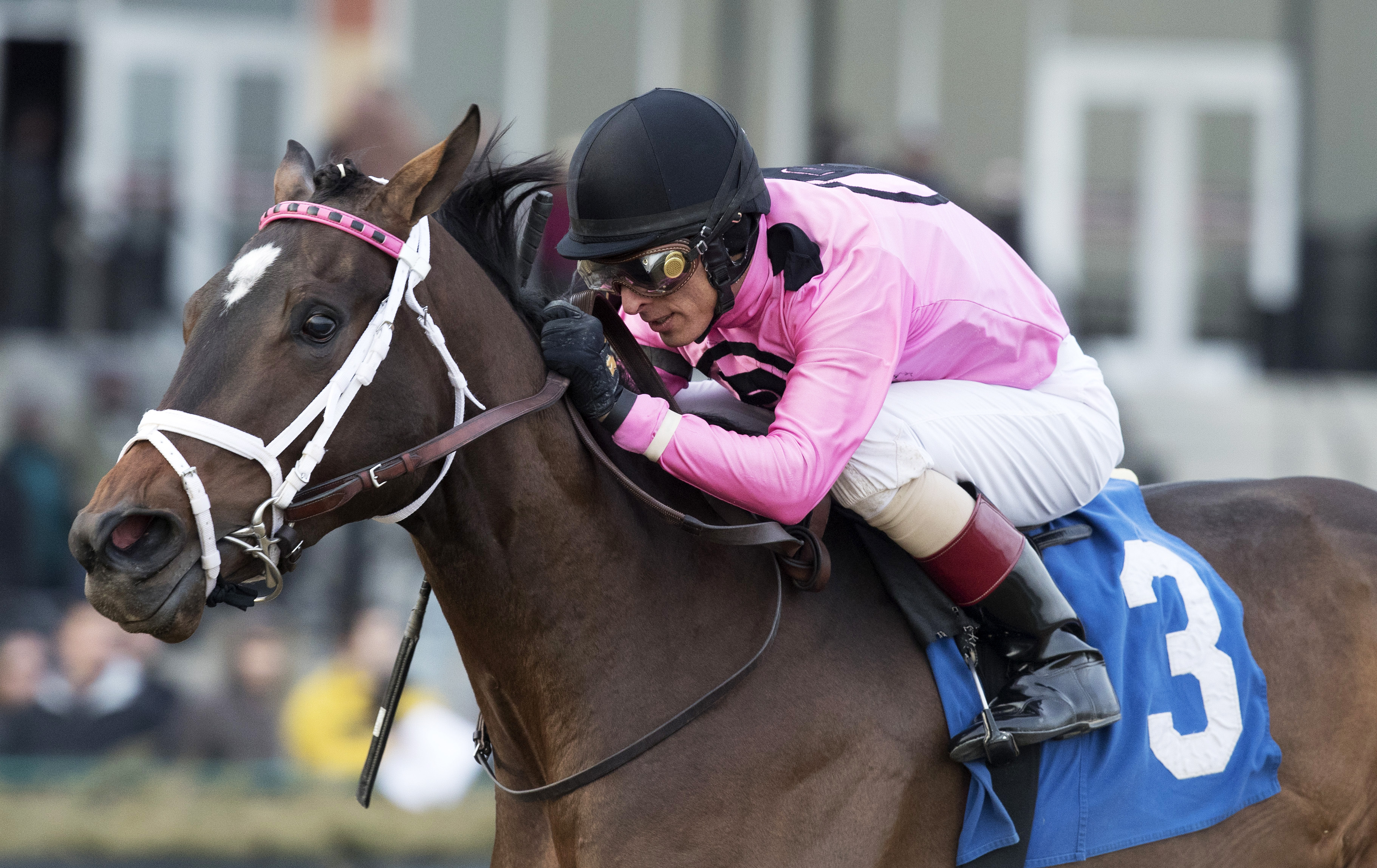 Wonder Gadot wins the 2017 Demoiselle