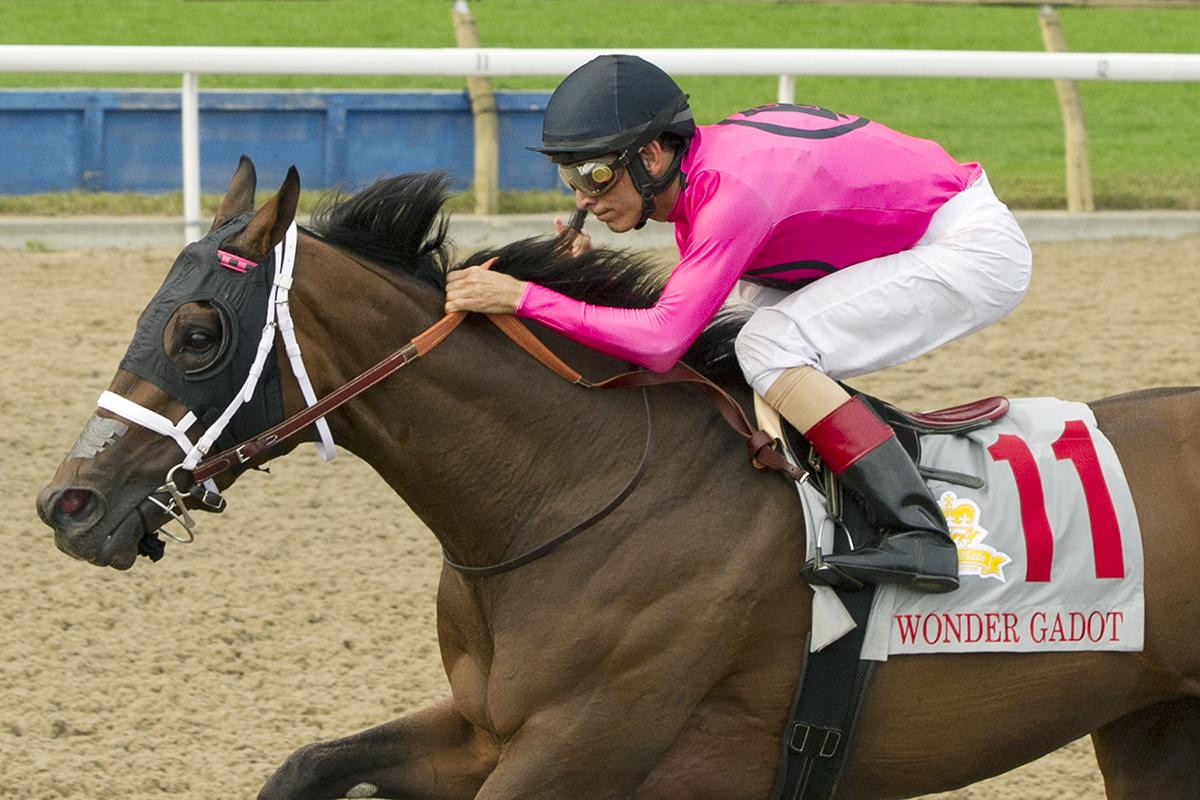 Wonder Gadot wins the 2018 Queen-s Plate
