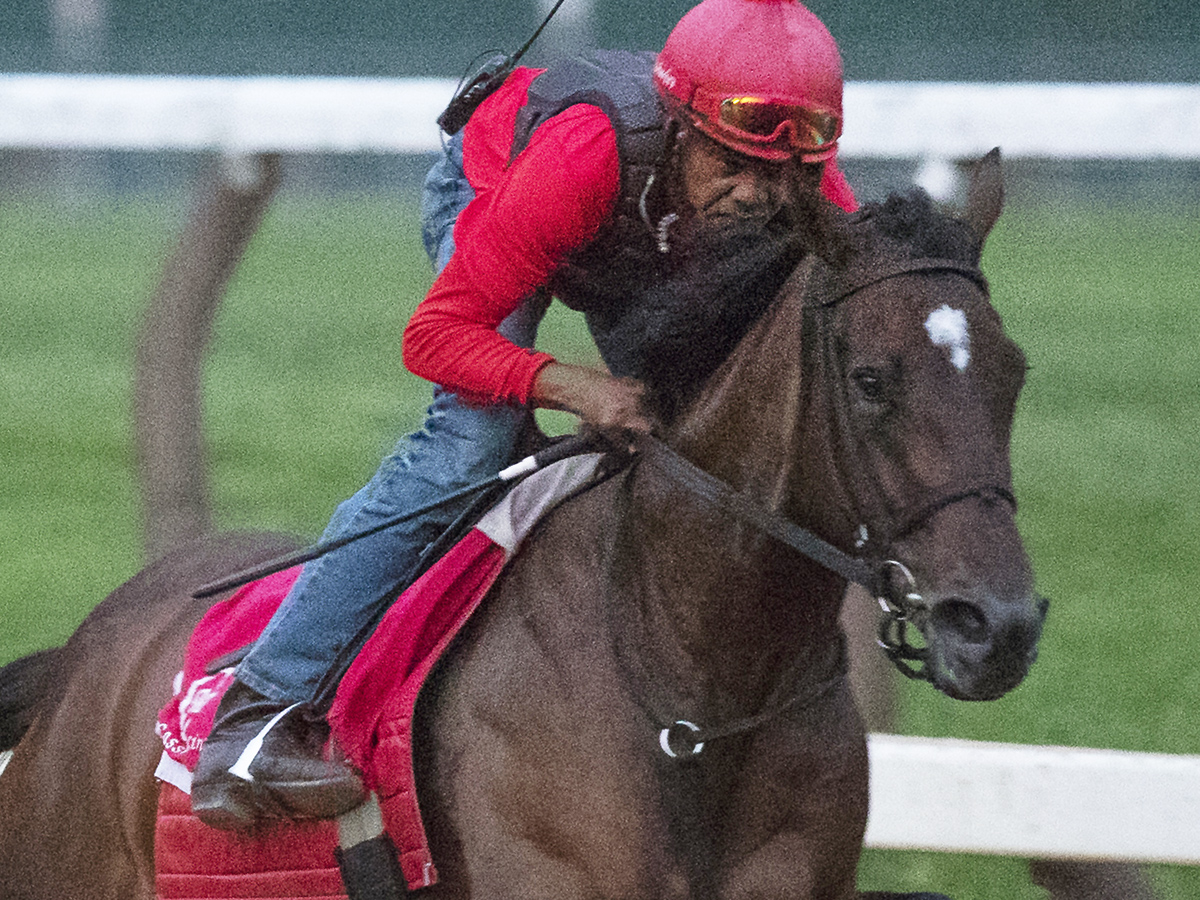 Wonder Gadot Aug. 17 training - cropped