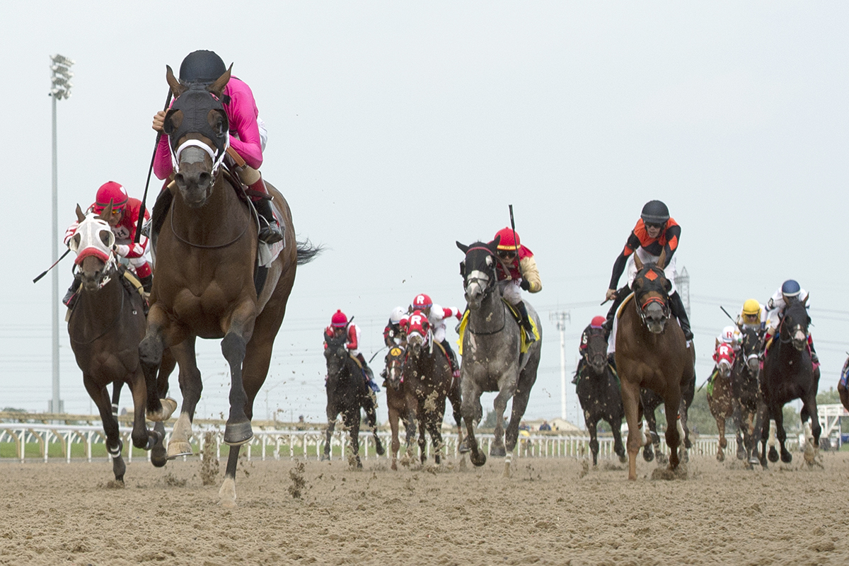 Wonder Gadot wins the 2018 Queen-s Plate