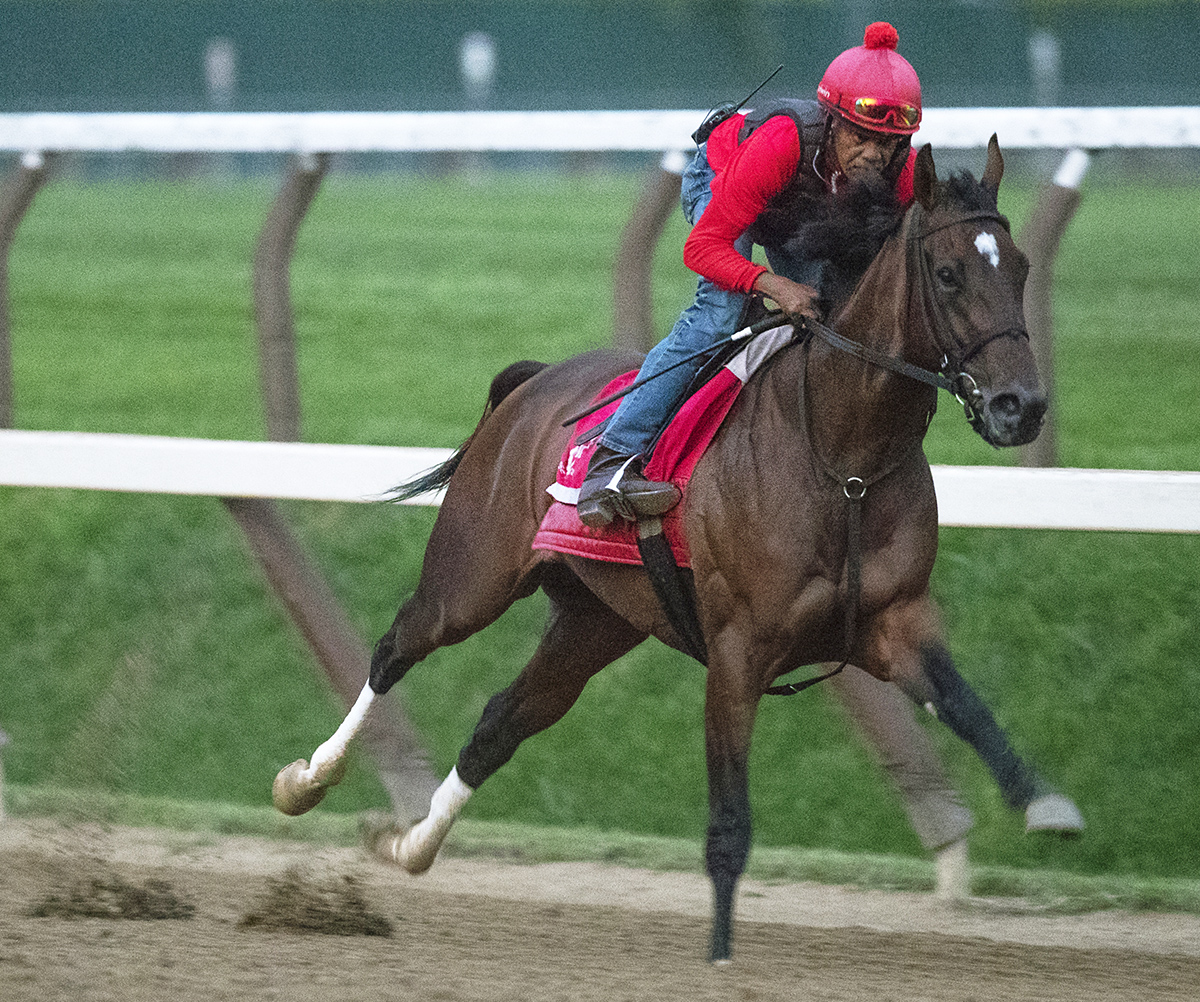 Wonder Gadot trains at Saratoga on Aug. 17