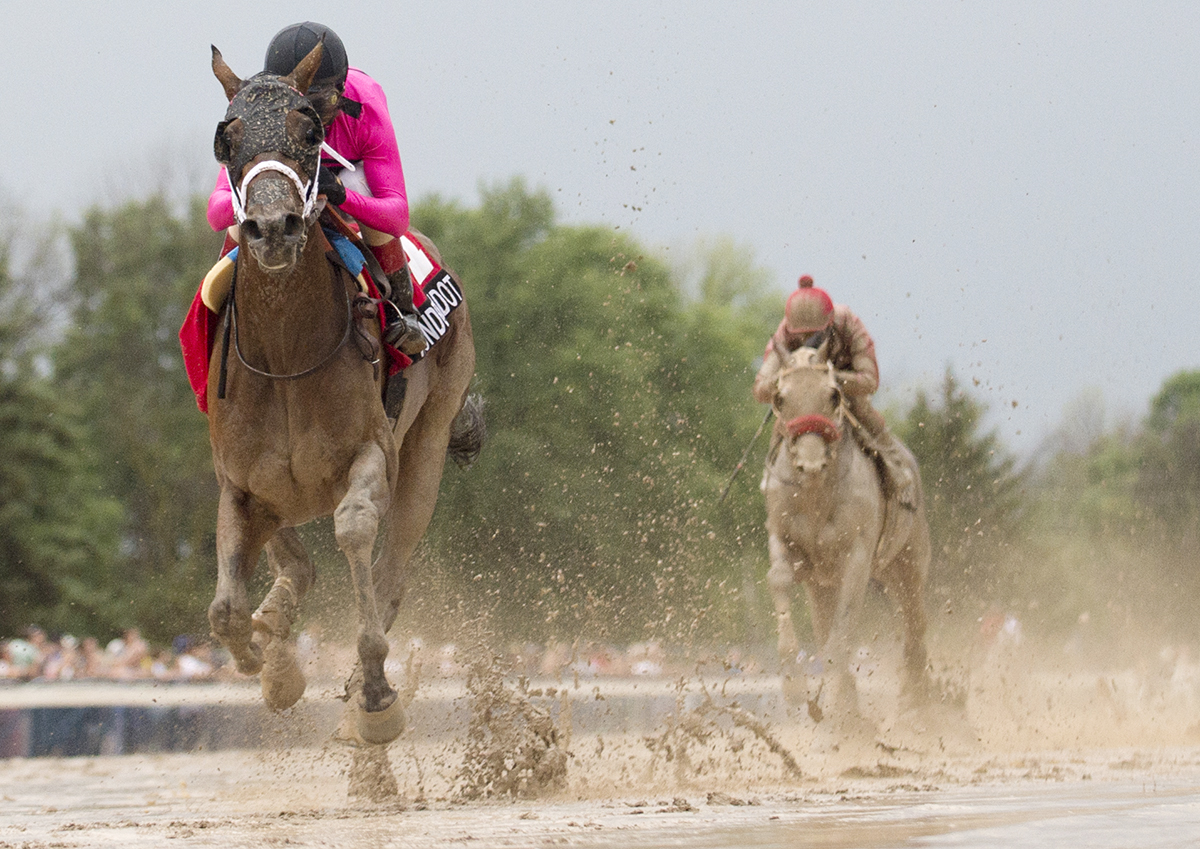 Wonder Gadot wins the 2018 Prince of Wales