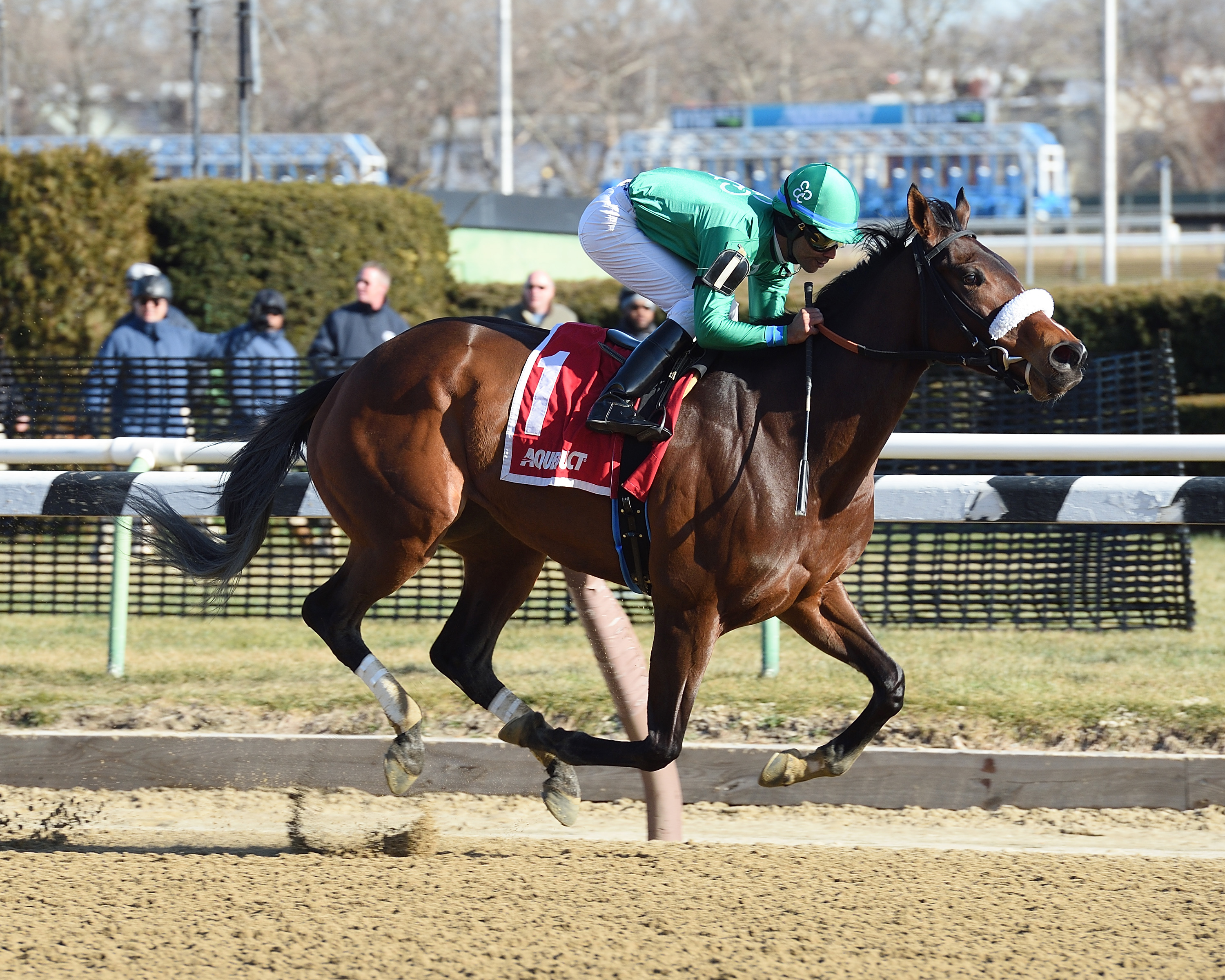 Wonder Gal wins the Ladies Handicap