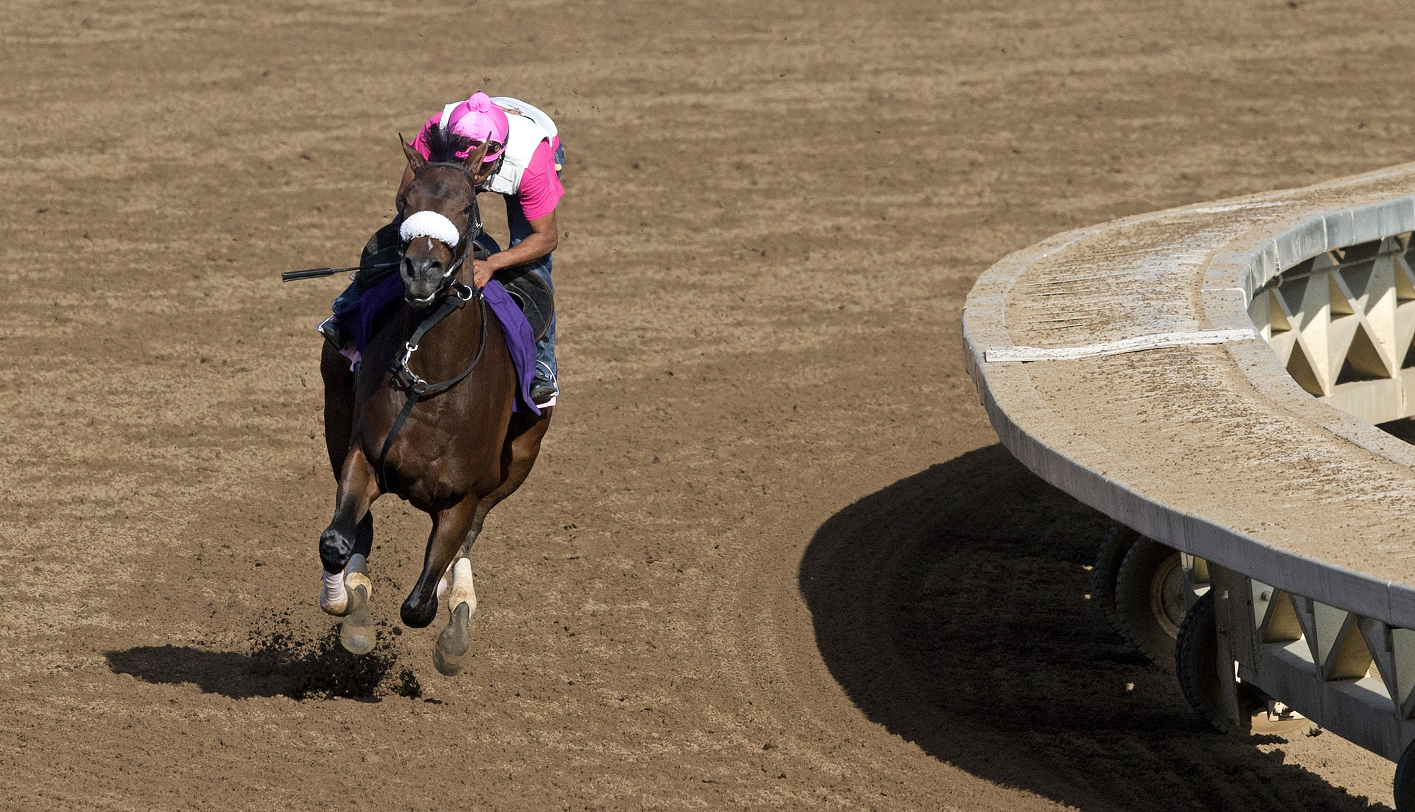 Wonder Gal trains at Santa Anita on Oct. 27