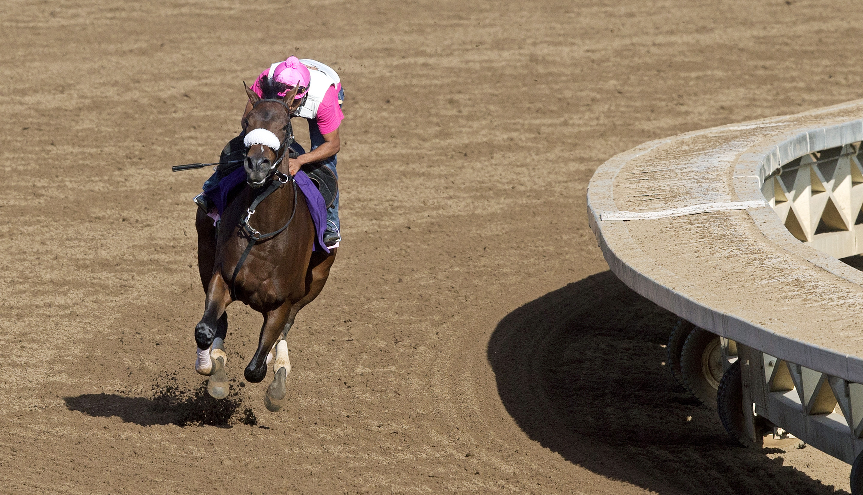 Wonder Gal trains at Santa Anita last October