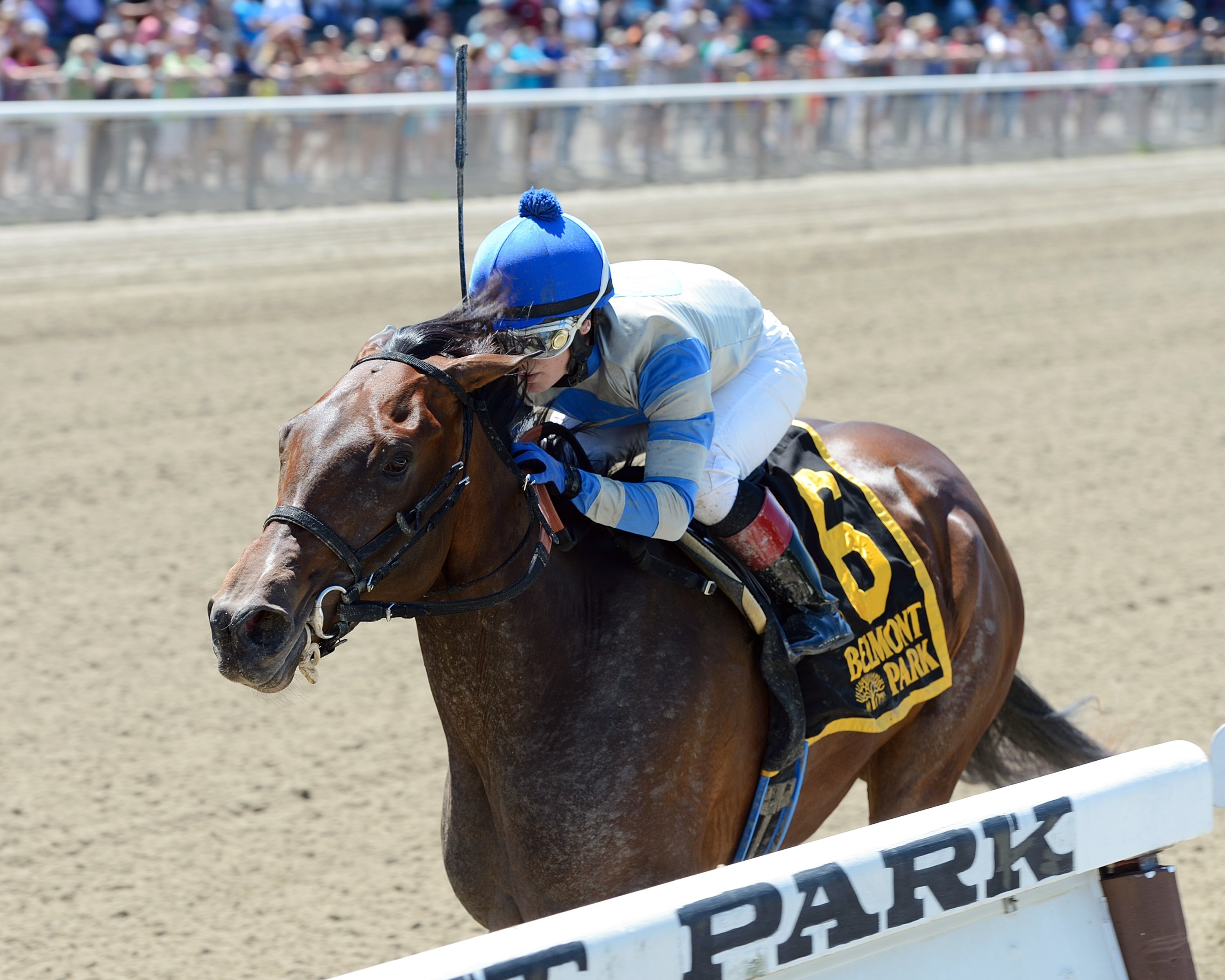 Wonder Gal wins the Lynbrook