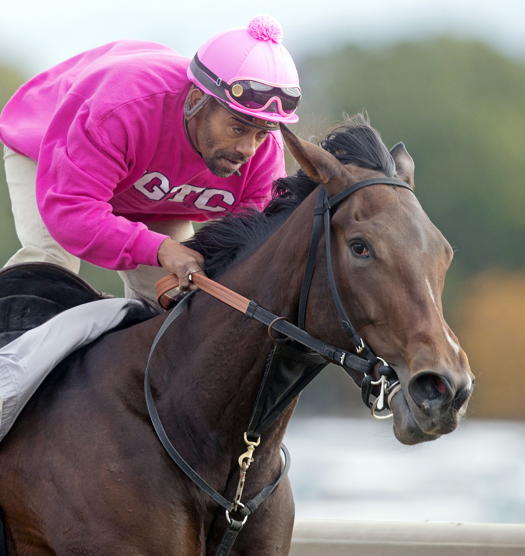 Wonder Gal trains at Belmont in October 2014