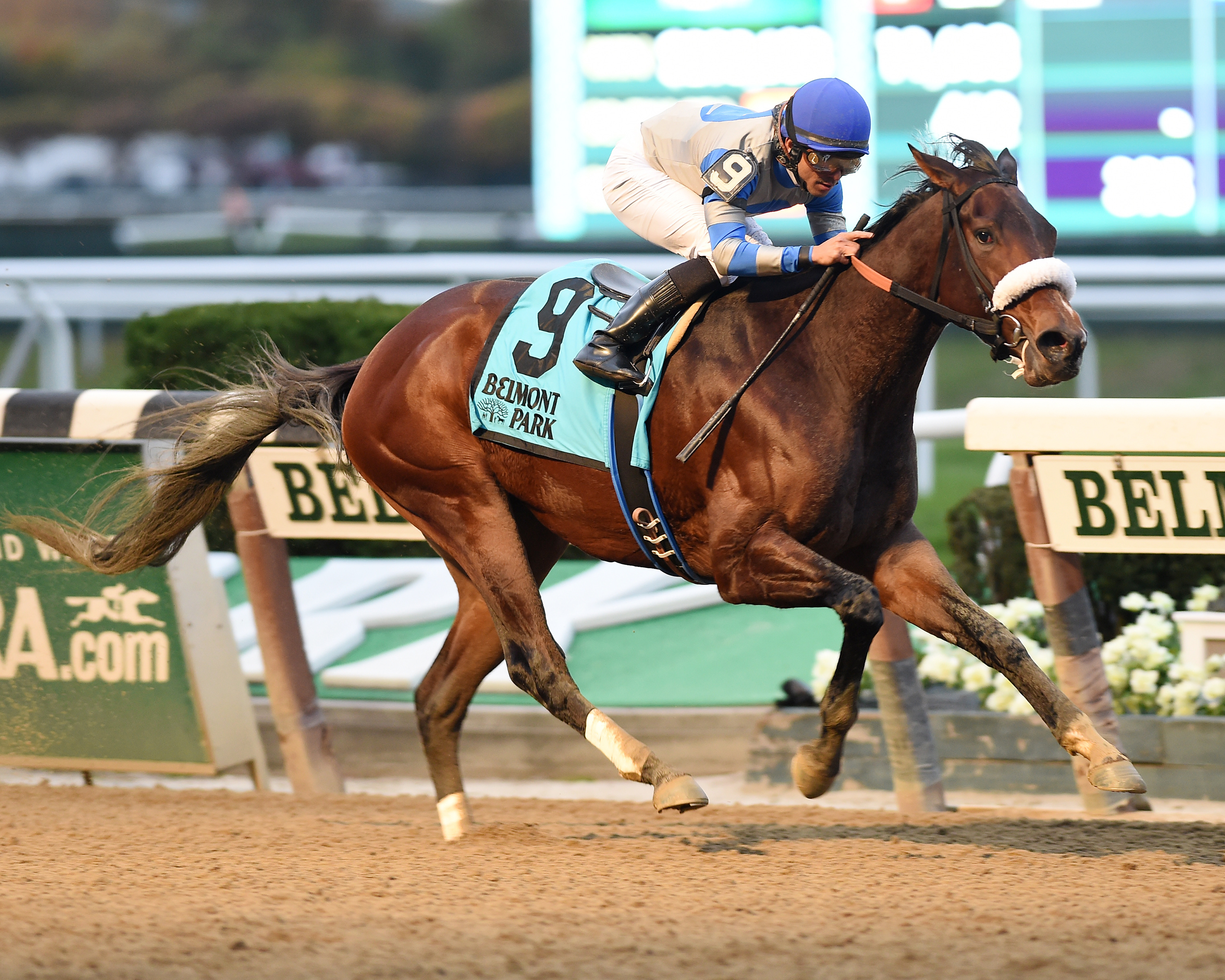 Wonder Gal wins the Empire Distaff