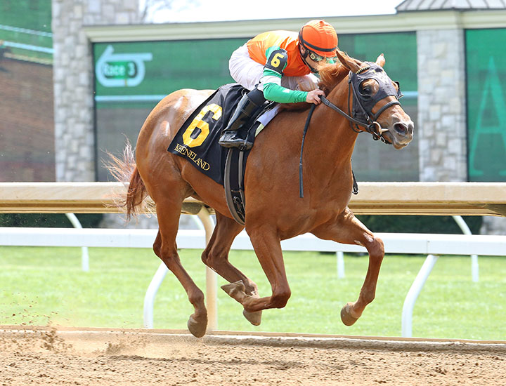 Wonder Stone wins an April 2018 maiden race
