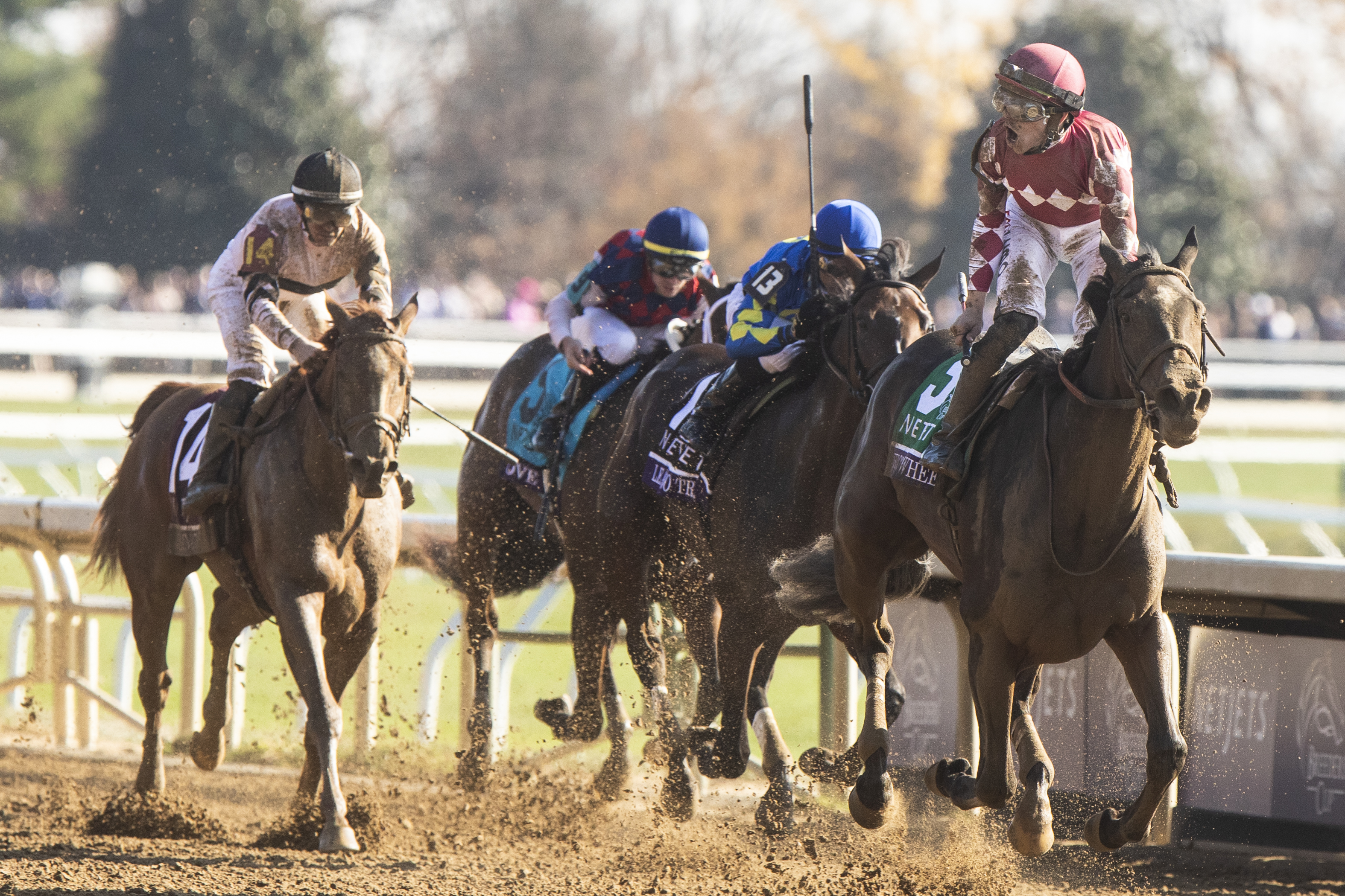 Wonder Wheel - BC Juvenile Fillies 2022