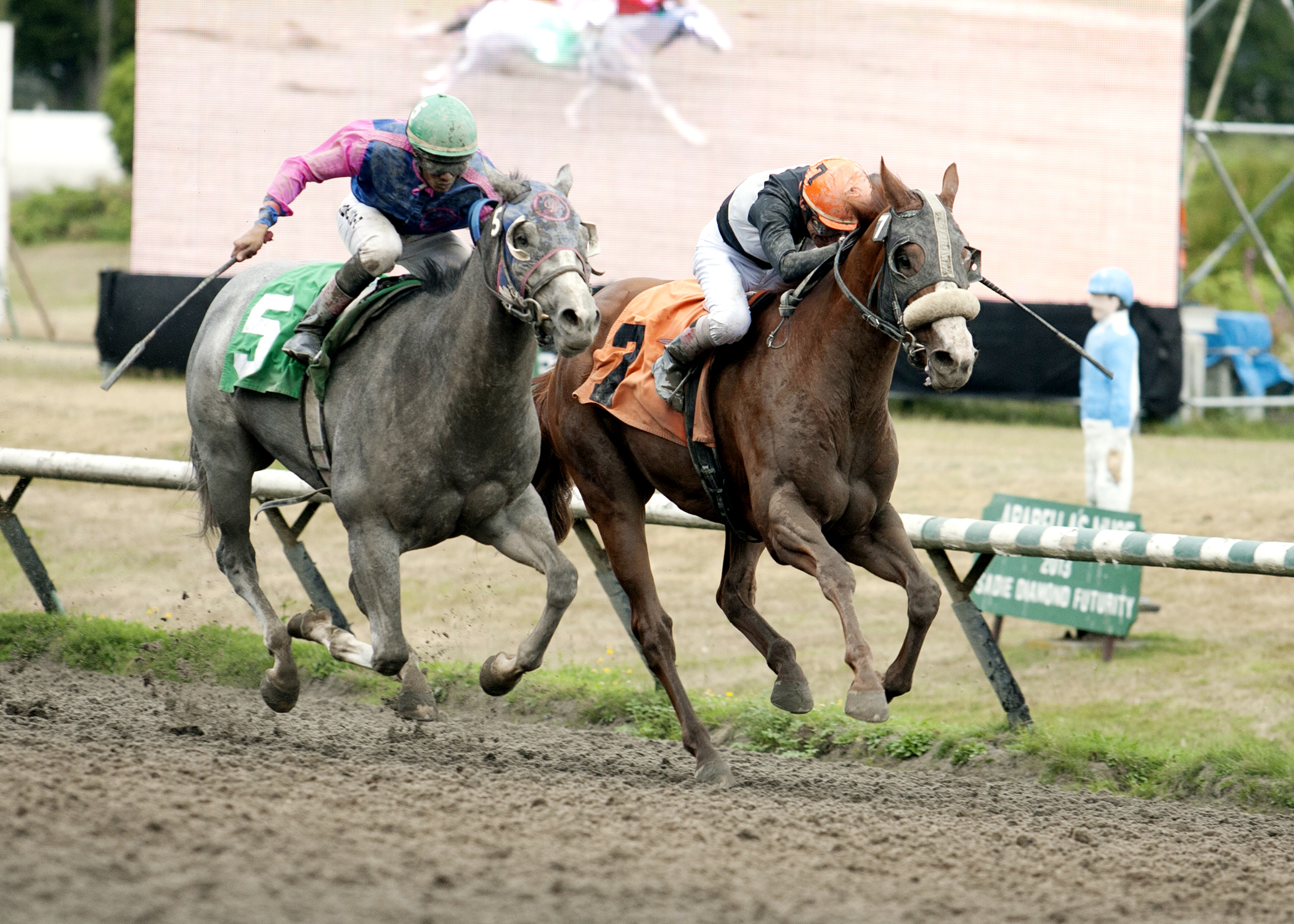 Wonder World wins the CTHS Sales Stakes