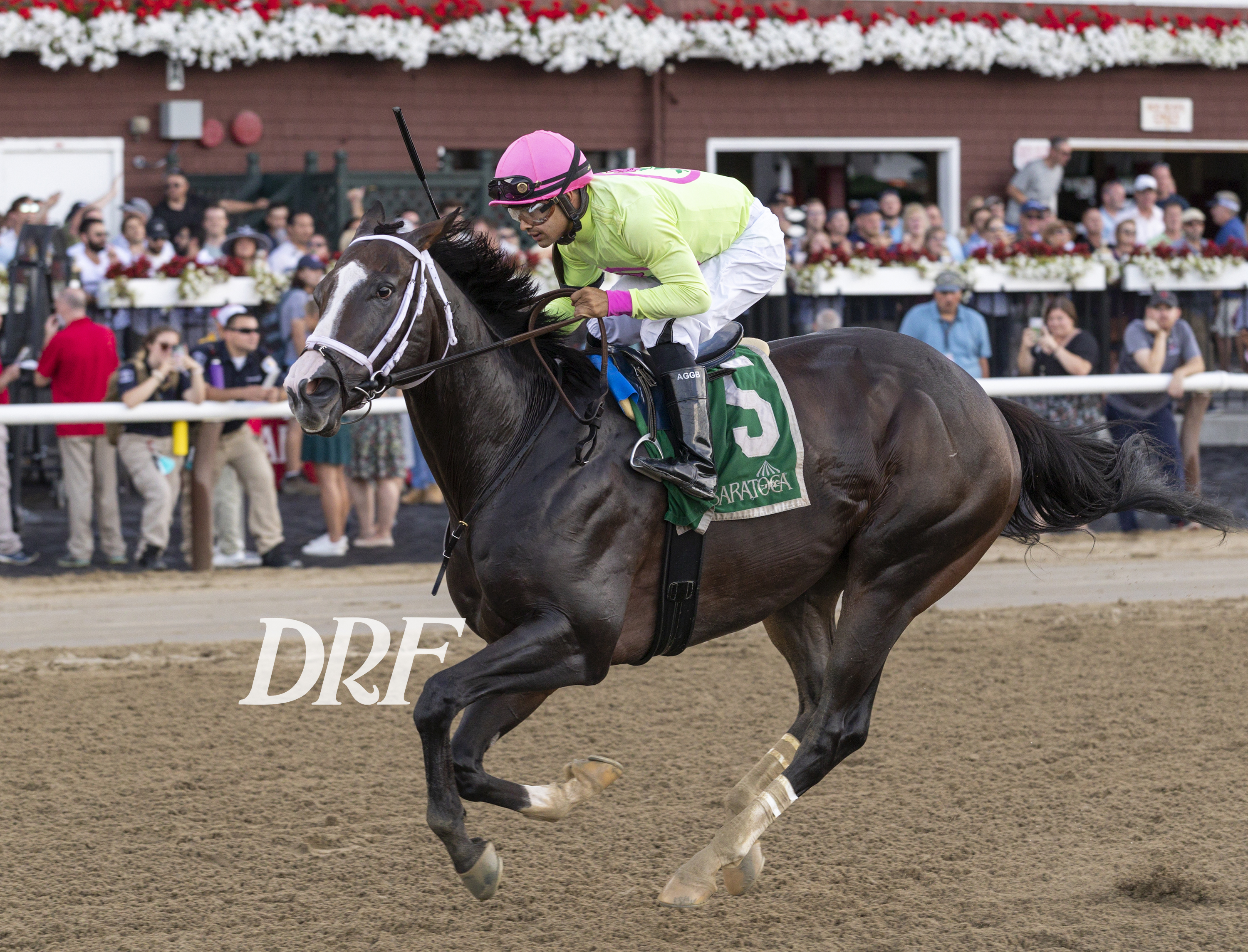 Wondrwherecraigis Debbie Roma - DRF