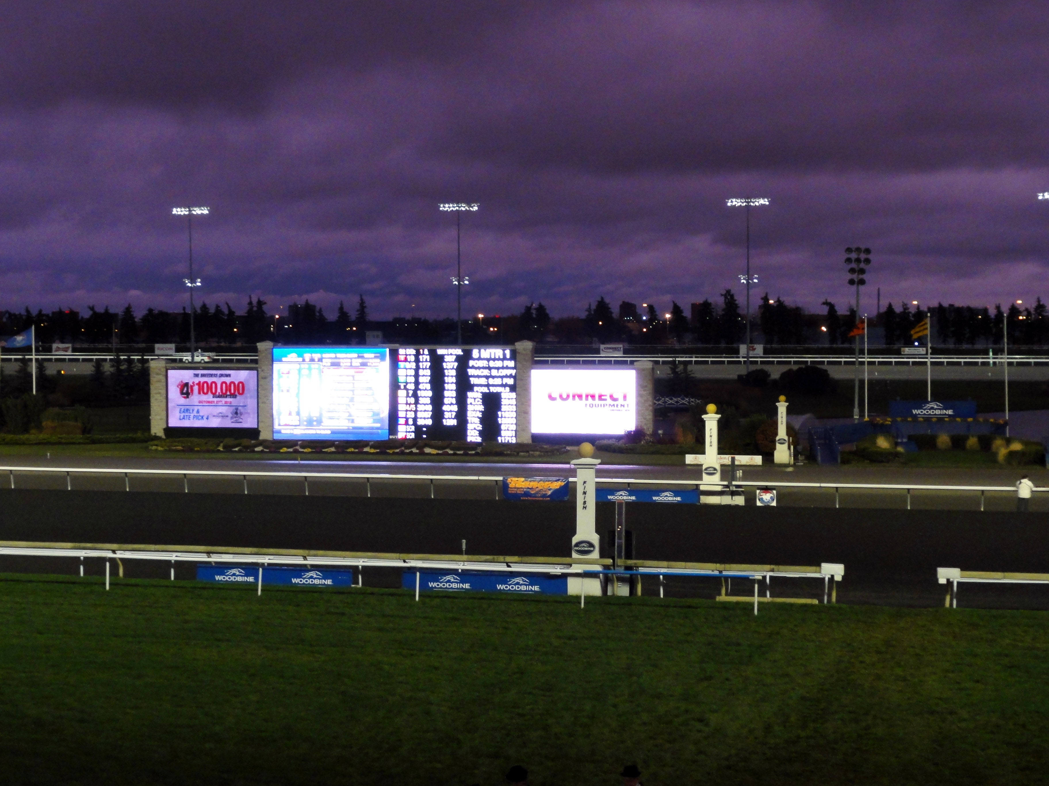 Woodbine Standardbred