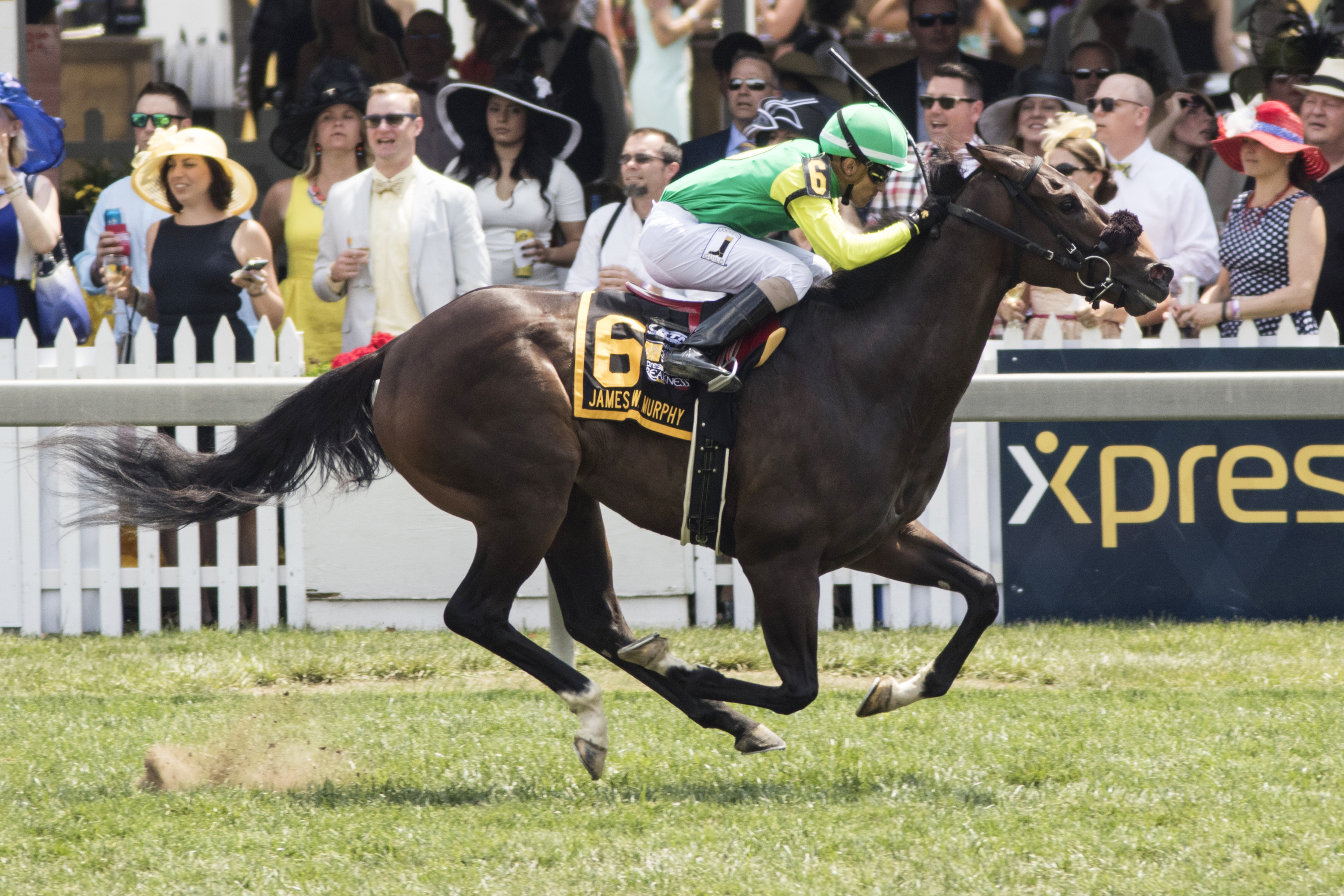 Woodwin W wins the James W. Murphy