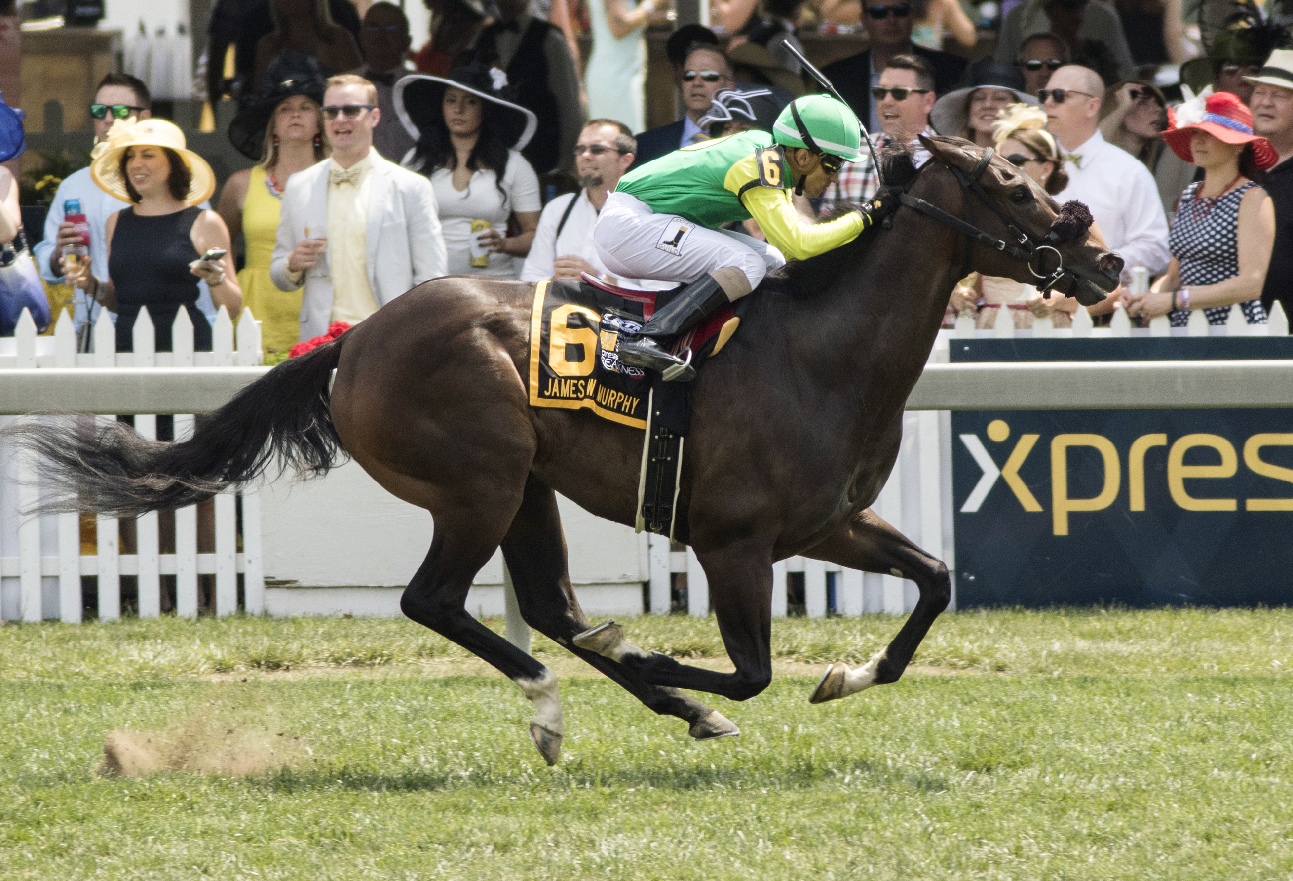 Woodwin W wins the James W. Murphy
